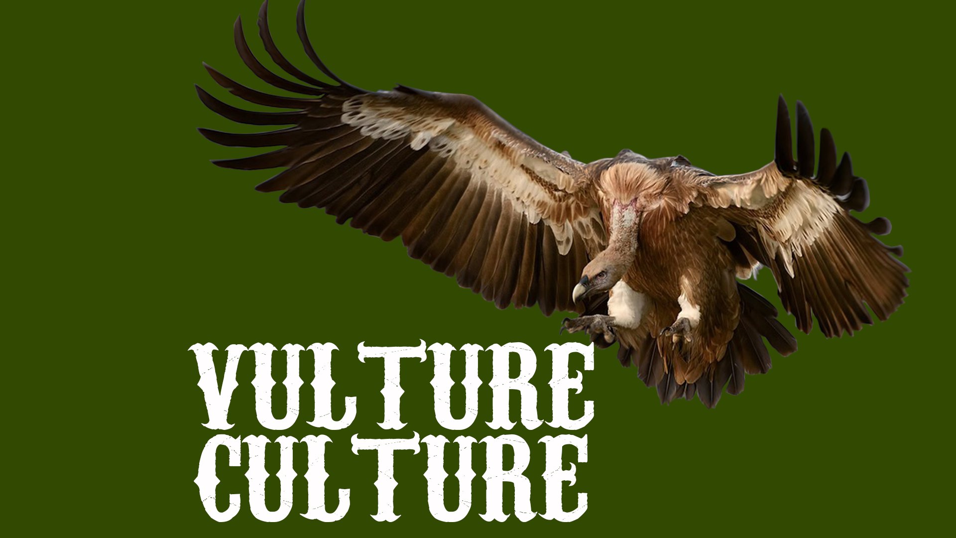 Vulture Culture | Texas Watch