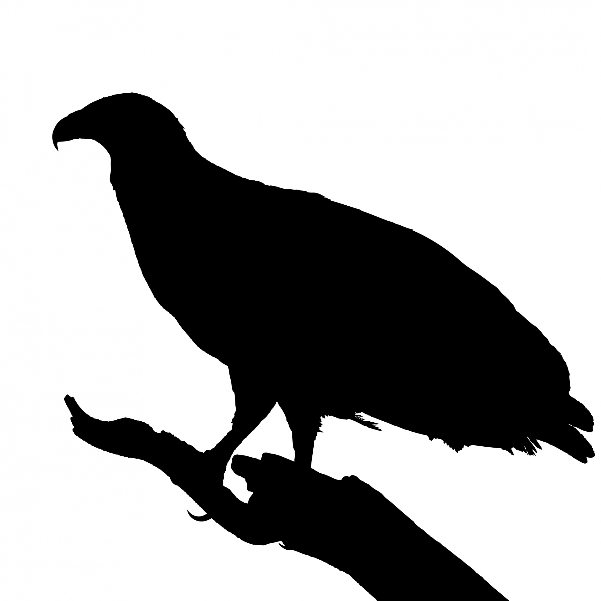 Turkey Vulture Silhouette at GetDrawings.com | Free for personal use ...