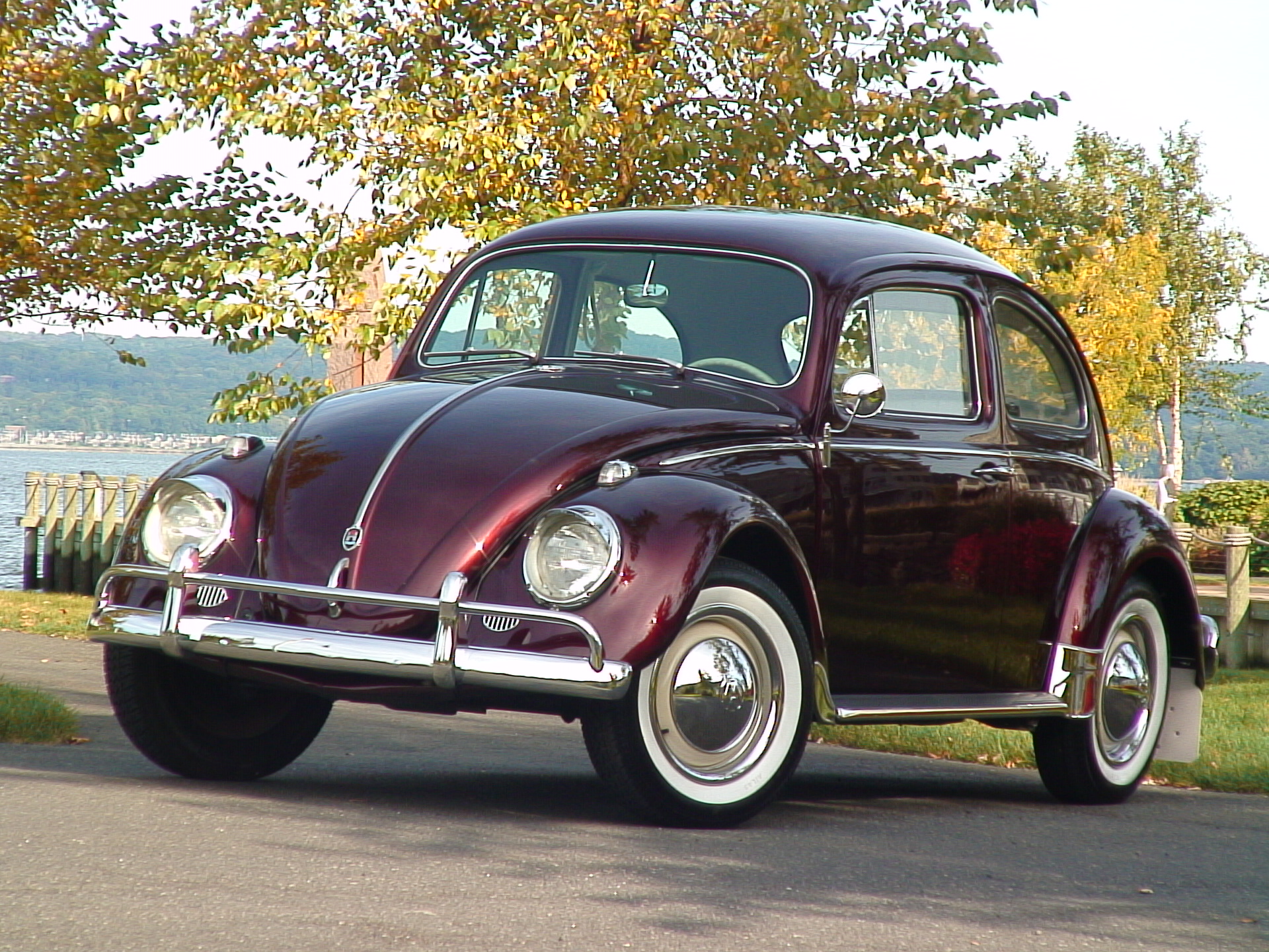 1960 STUNNER VW Beetle BuG Sedan* | Classic VW Beetles & BuGs ...