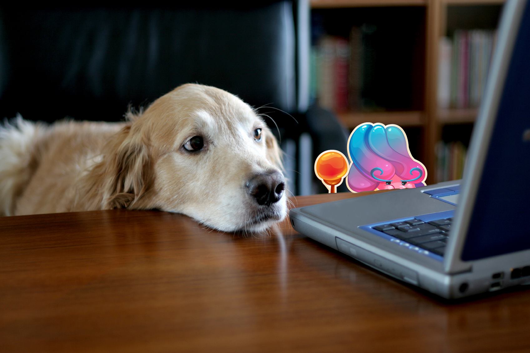 Image - Jelly Queen and dog are waiting for Candy Crush Jelly Saga ...