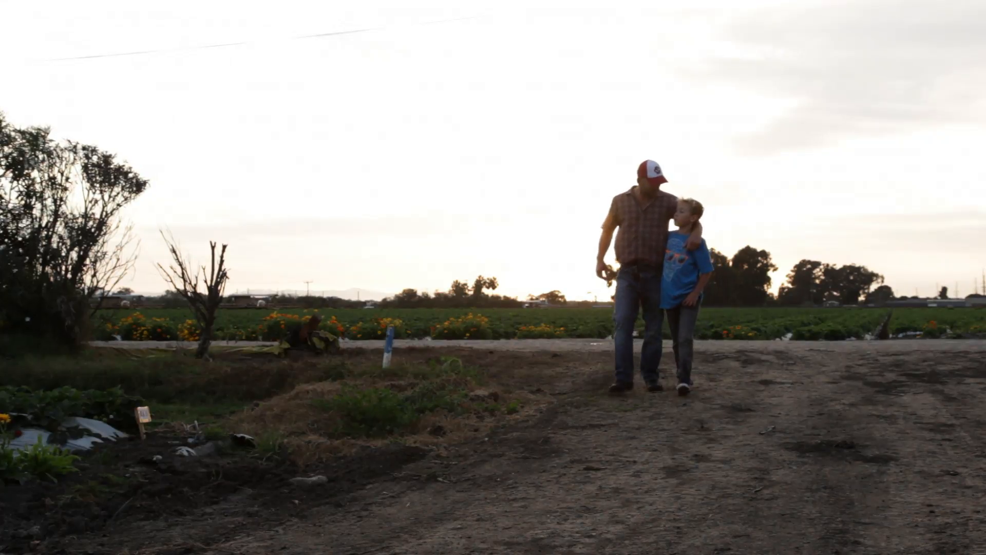 A father and son walk in a farm field. Stock Video Footage - VideoBlocks