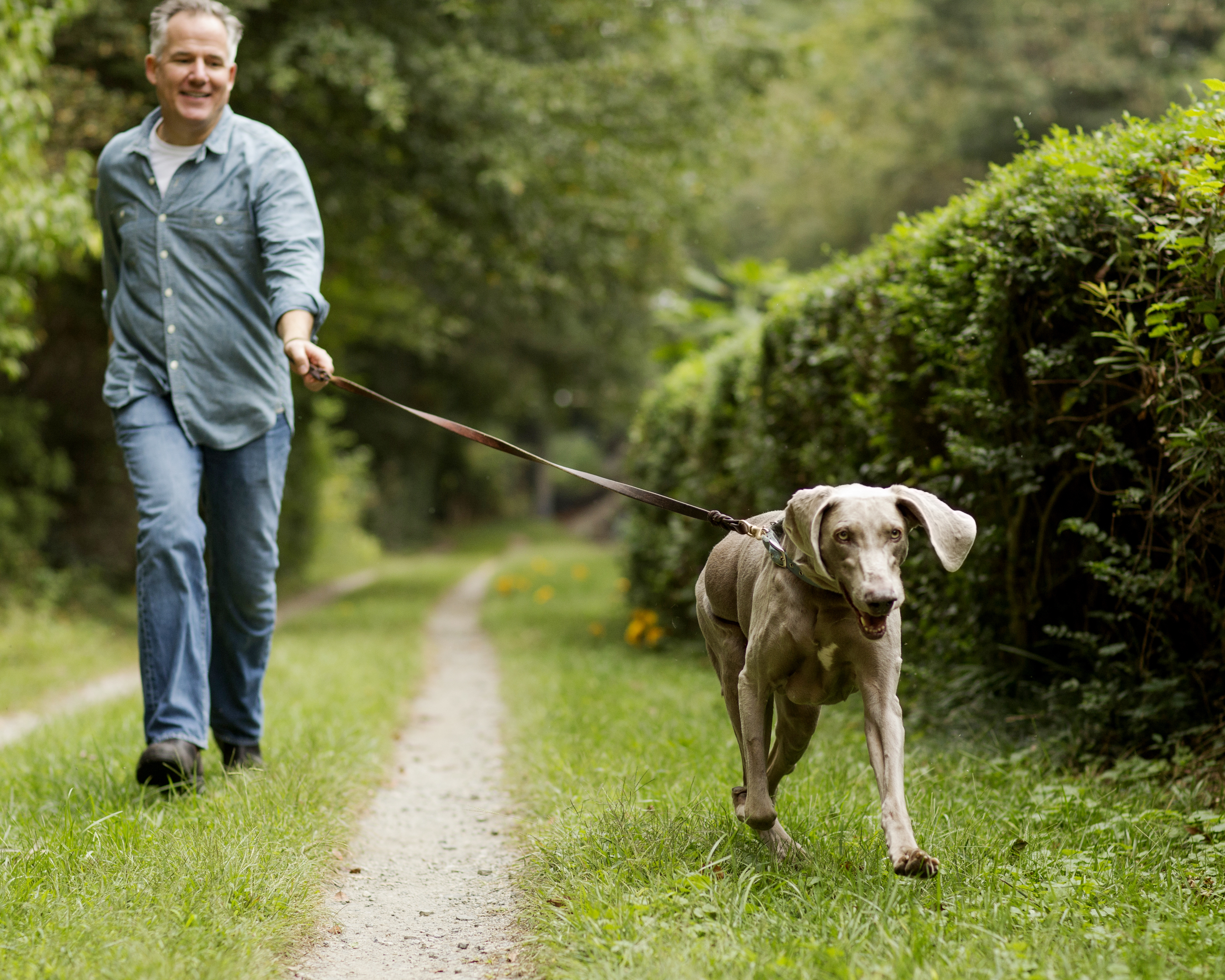 The Sad Reasons Why People Don't Walk Their Dogs – Health Essentials ...