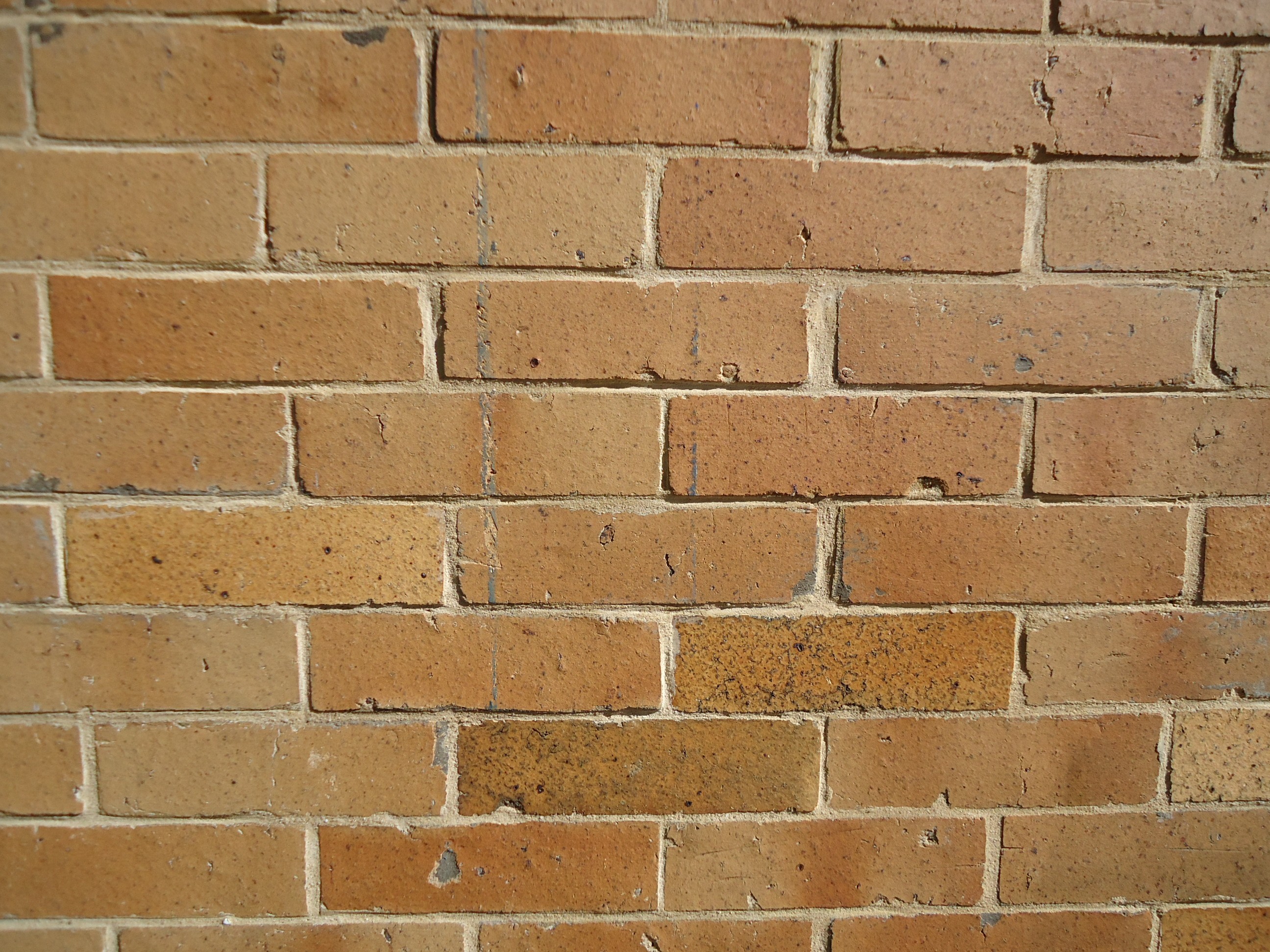 File:Surfaces vertical brick wall closeup view.JPG - Wikimedia Commons