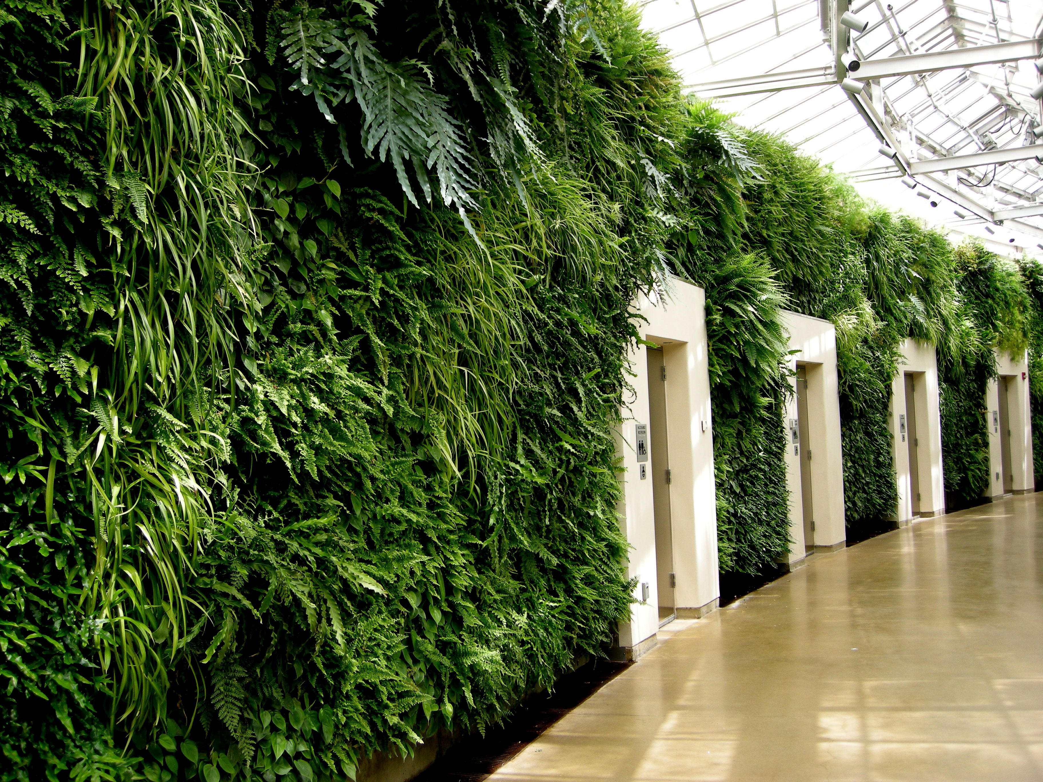 fern wall Longwood Conservatory | Architecture | Pinterest