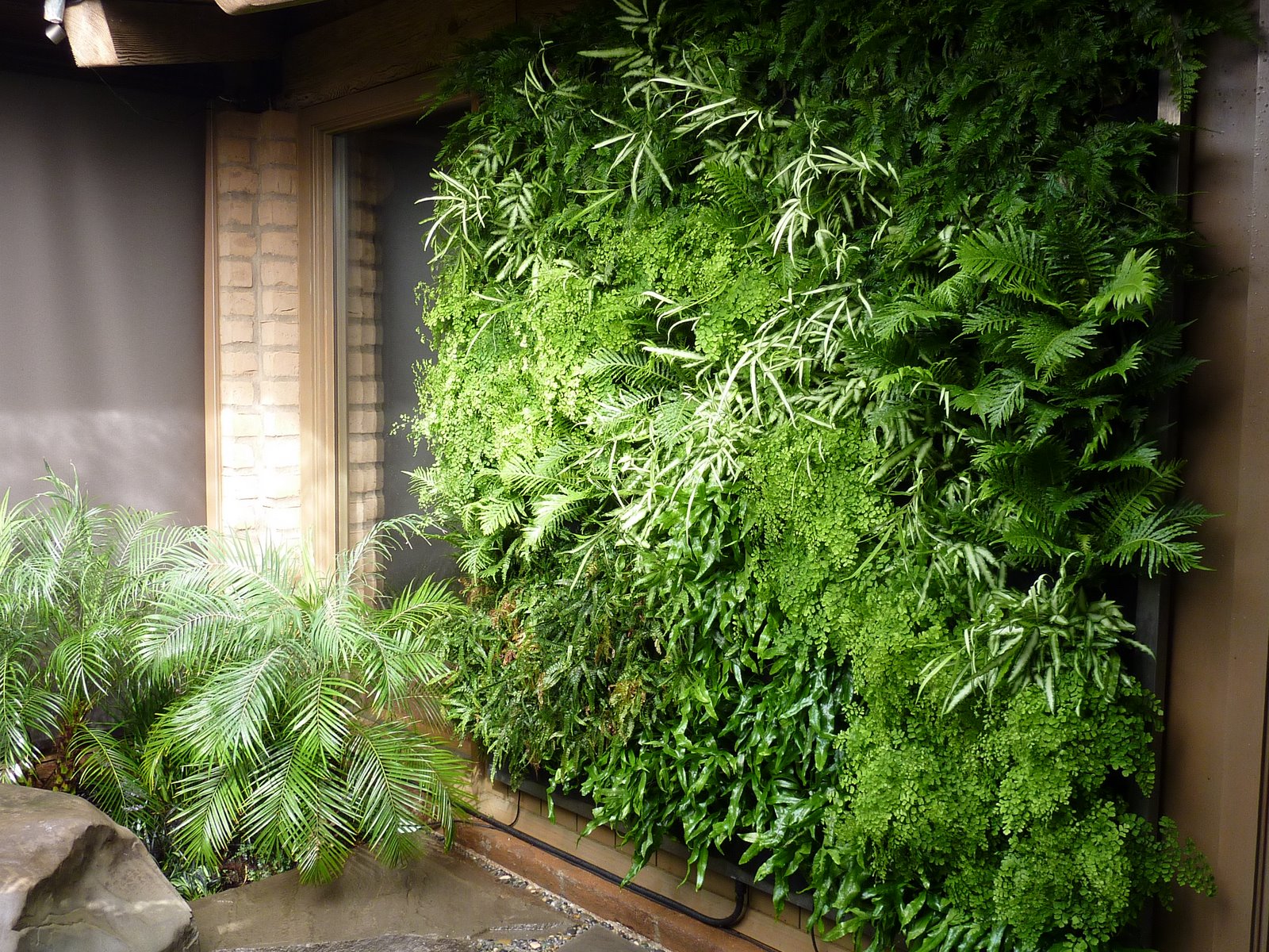 Plants On Walls vertical garden systems: Fern Walls, Los Altos Residence