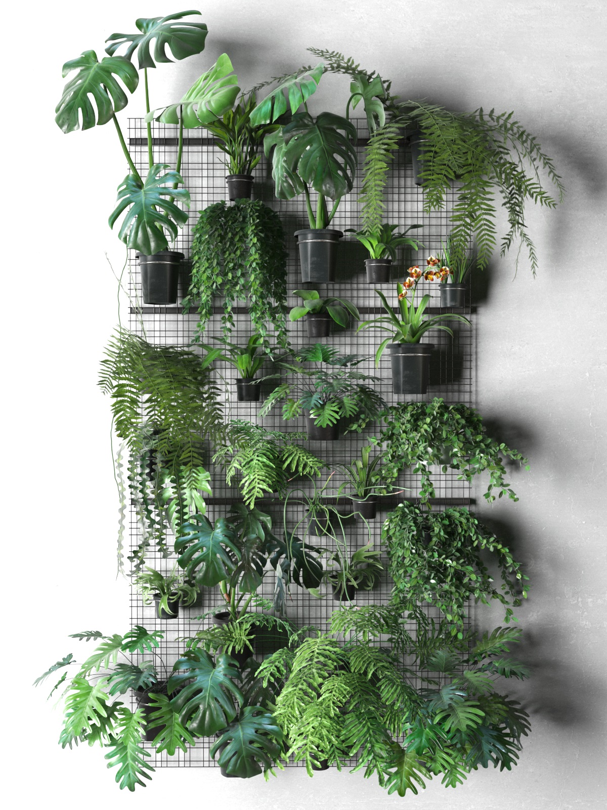 Wall Grid with Pot Plants