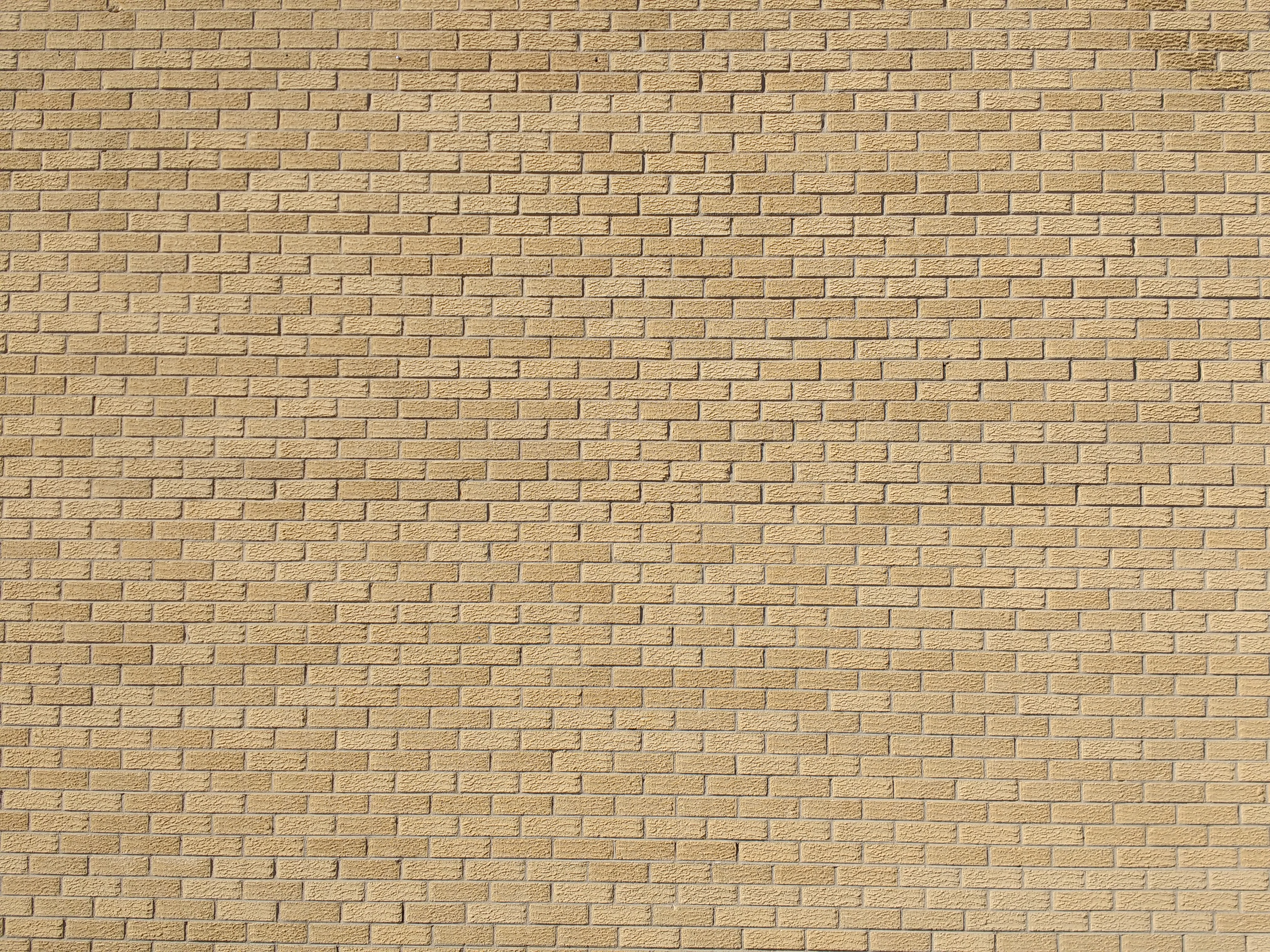 Blonde Brick Wall Texture Picture | Free Photograph | Photos Public ...