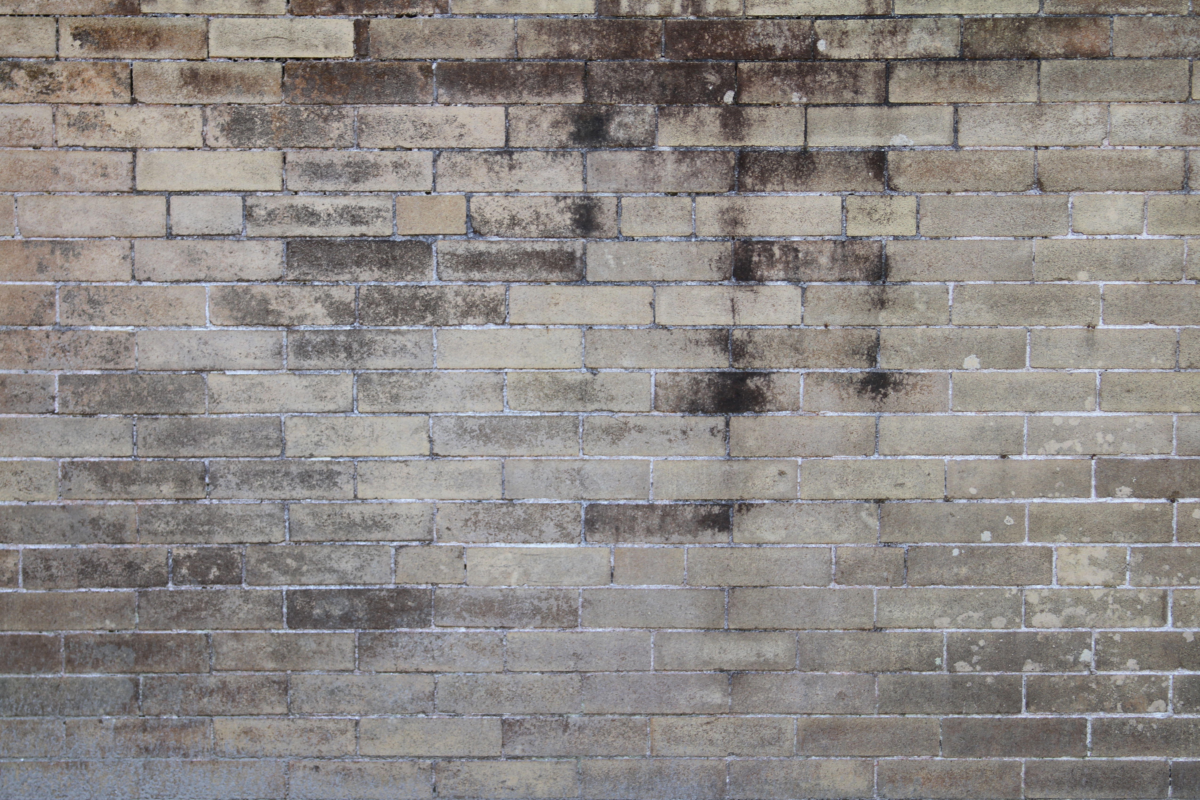 Free photo: Worn Brick Wall - Aged, Architecture, Worn ...