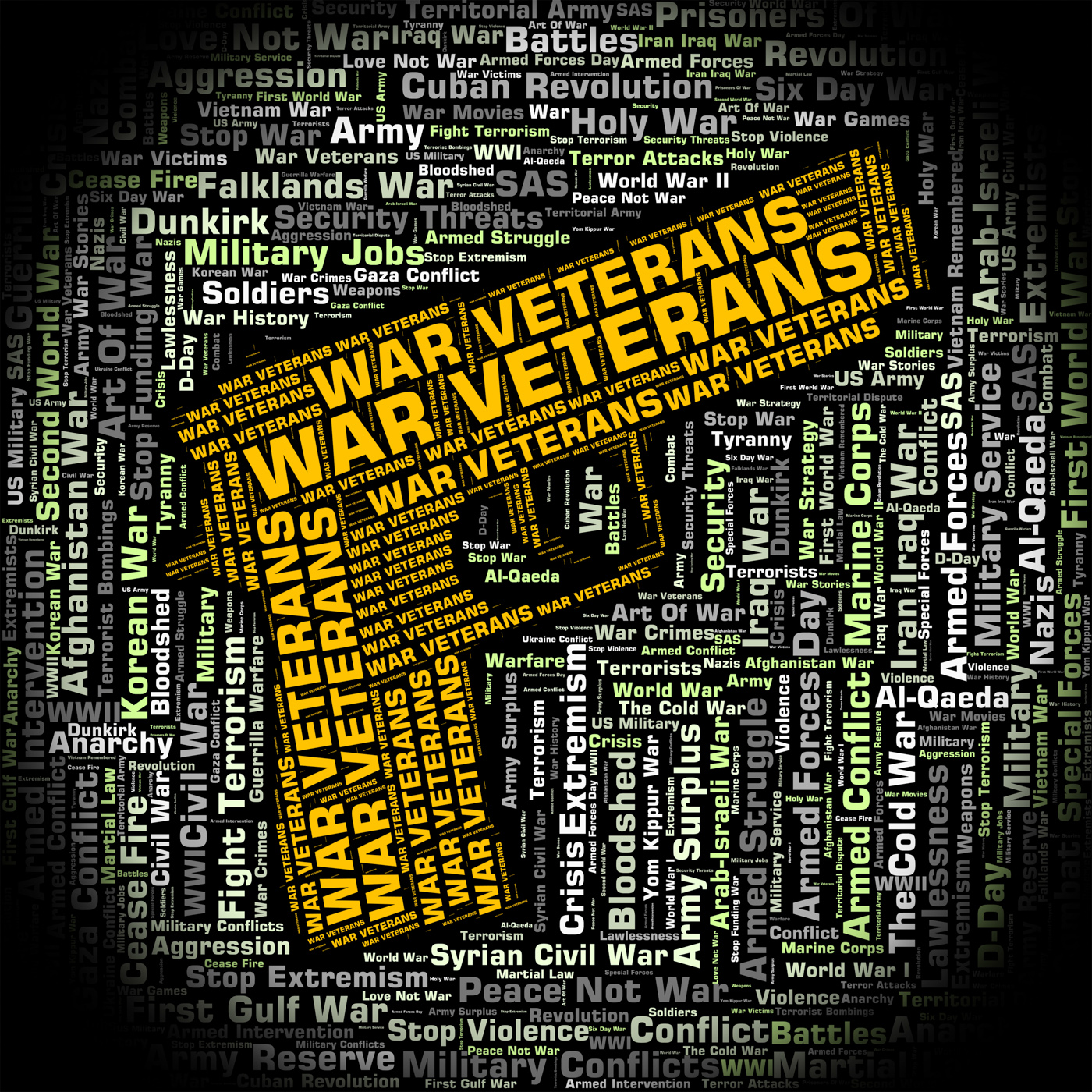War veterans indicates long service and combat photo