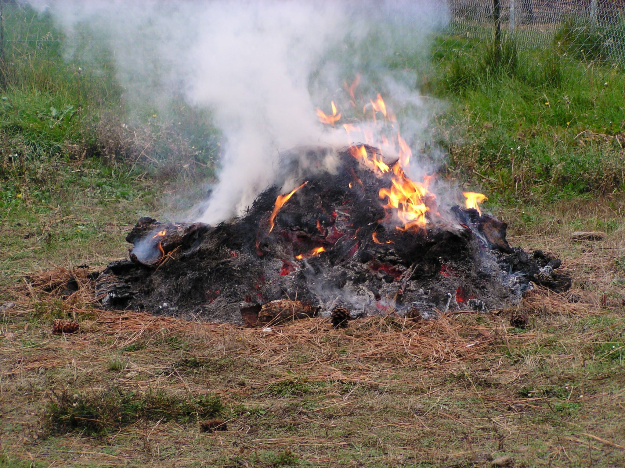 Regulations and Alternatives to Burning Burning Household Trash is ...