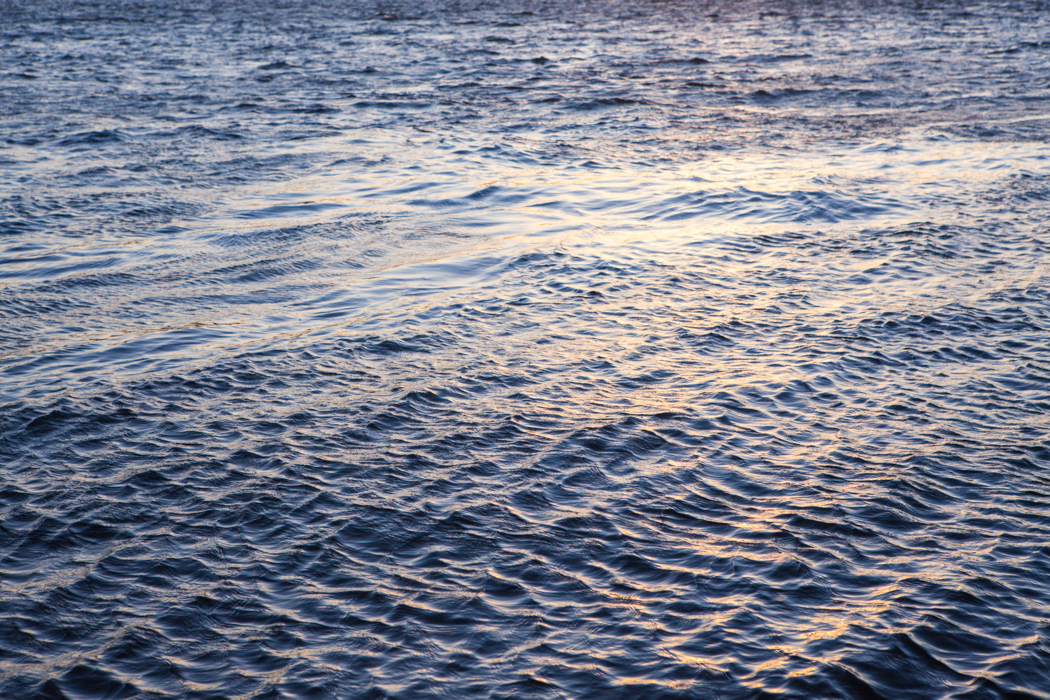 Волна бегущая по поверхности воды