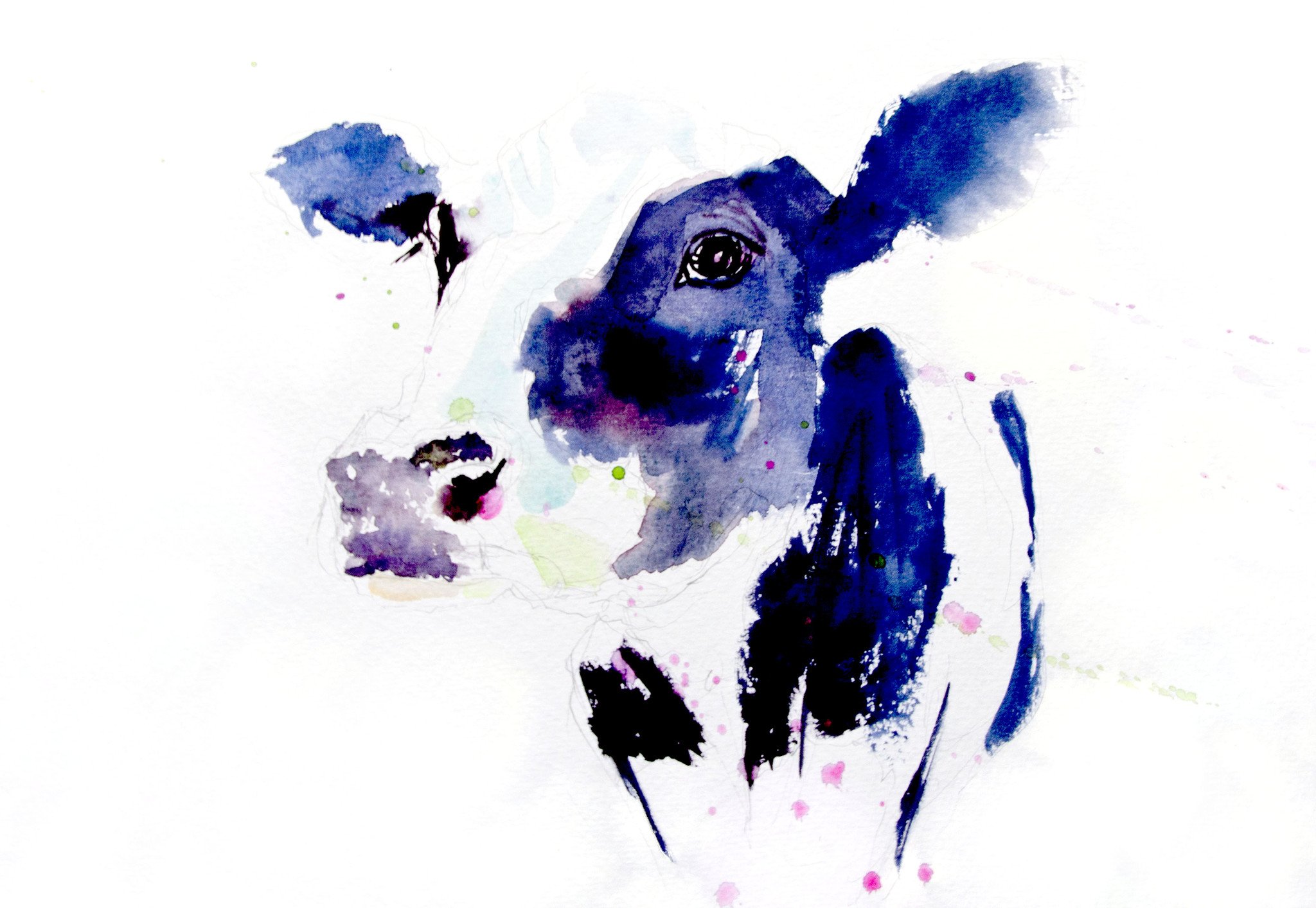 JEN BUCKLEY signed LIMITED EDITON PRINT of my Dairy COW watercolour