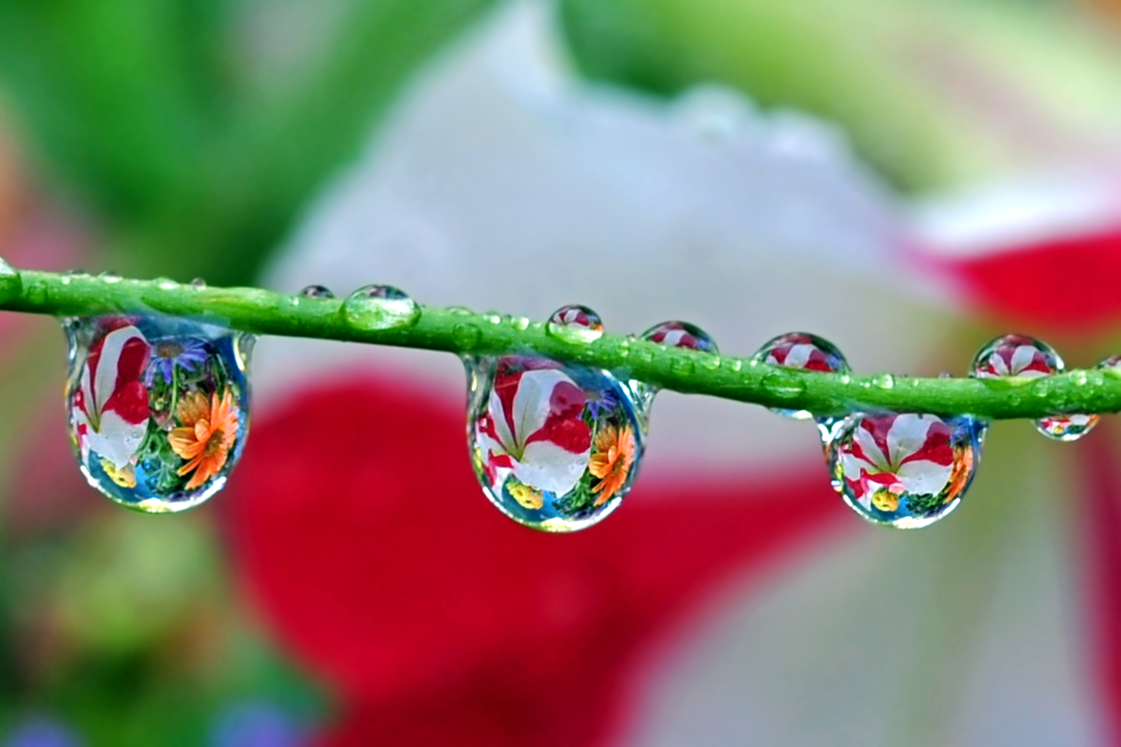 water drop photograph - Maths.equinetherapies.co