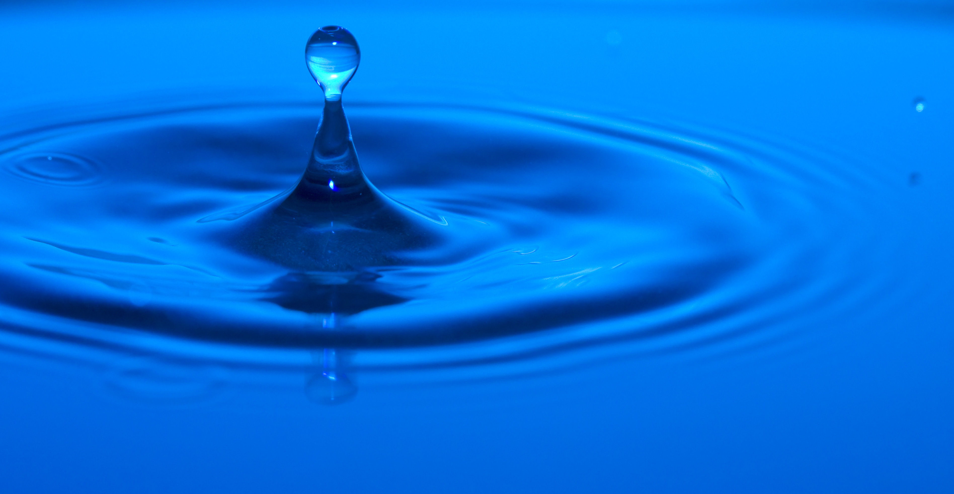 water drop | Talent Dynamics