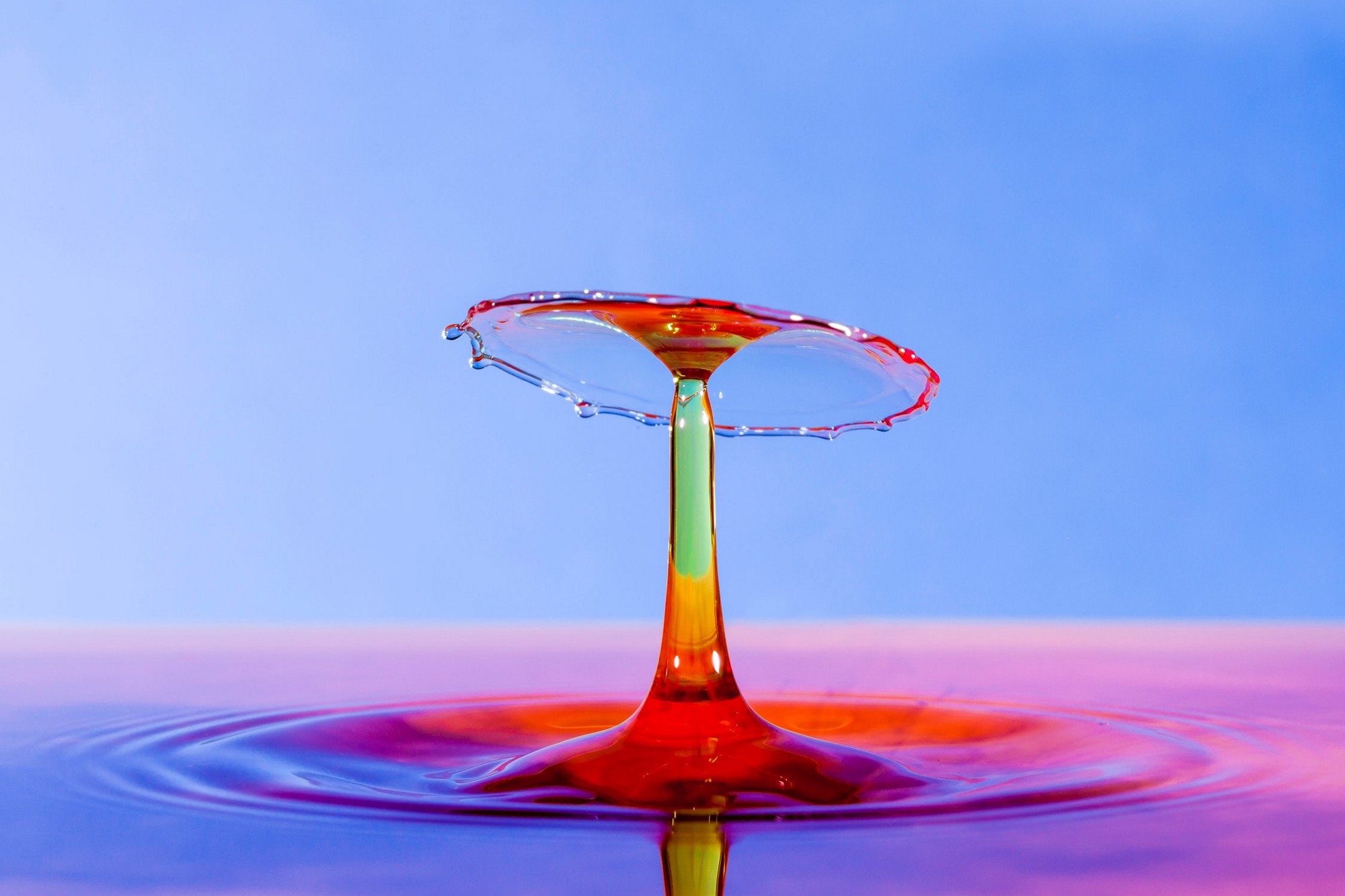 Why water-drop photography is the purest photography of all