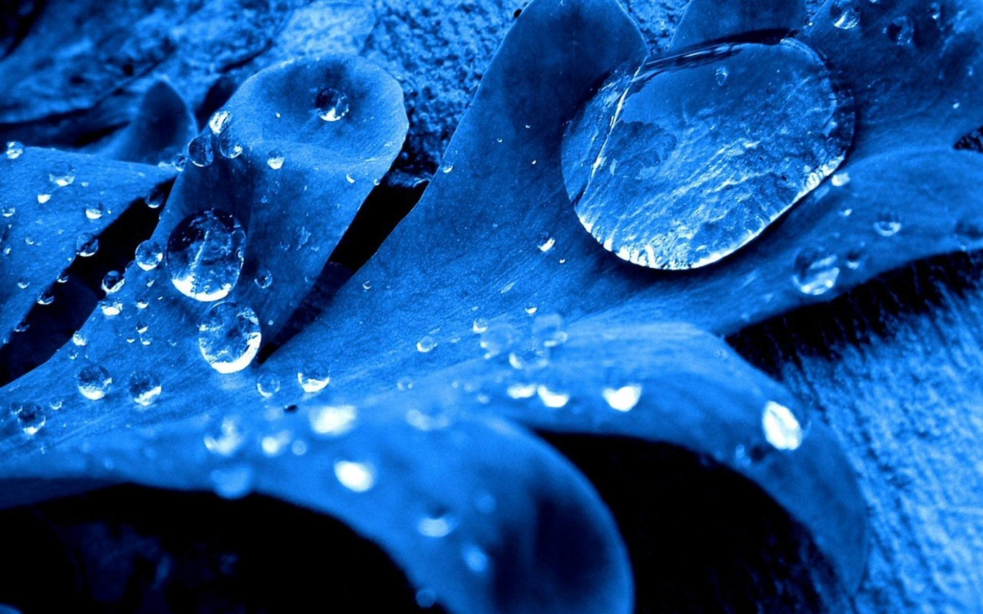 649 Water Drop HD Wallpapers | Background Images - Wallpaper Abyss
