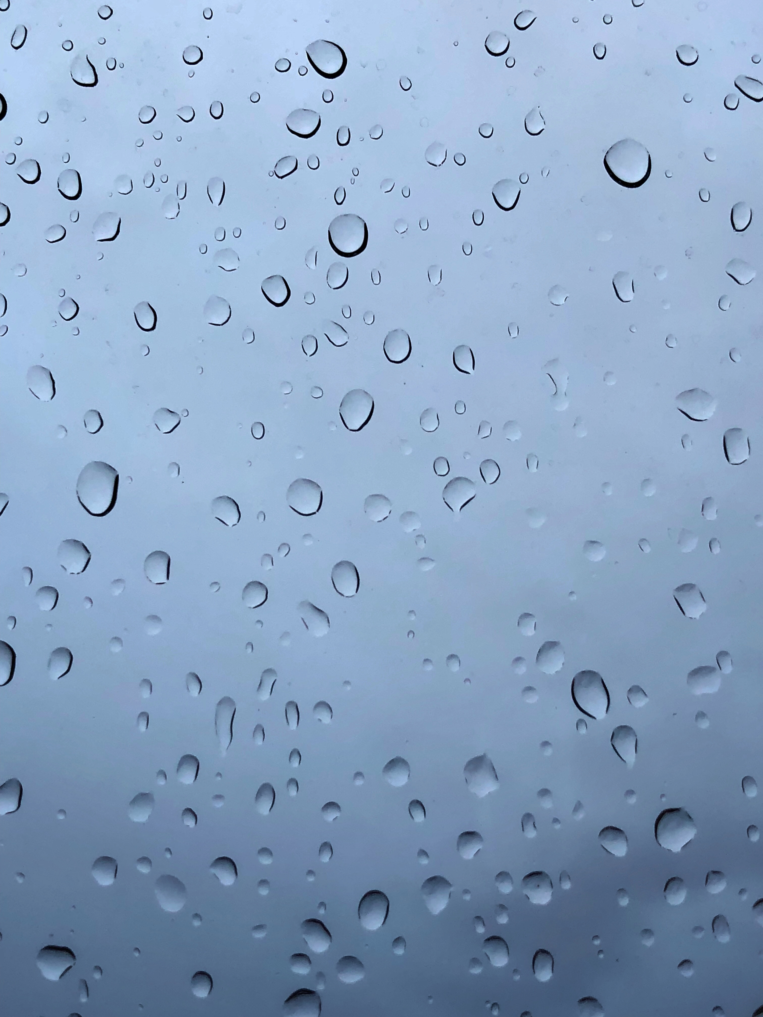 Enjoy a Beautiful Water Droplets Wallpaper