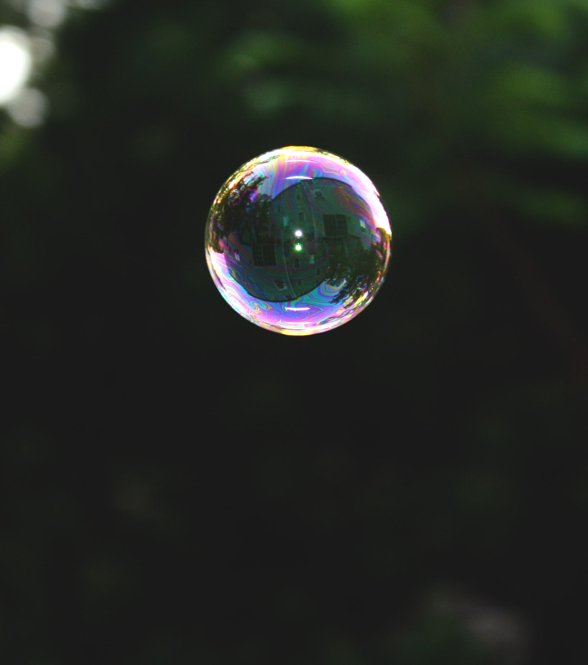 Water Droplet macro image - Free stock photo - Public Domain photo ...