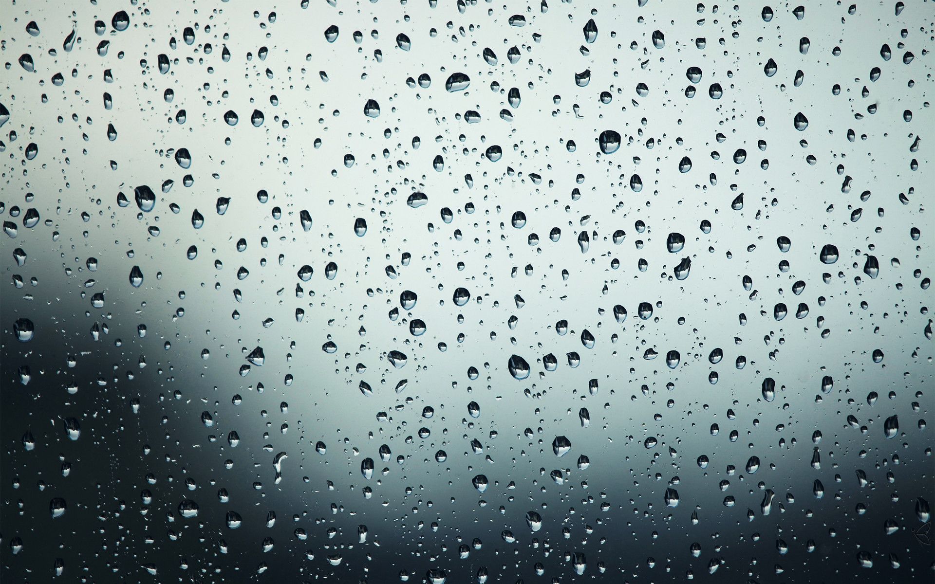 Water Droplets Wallpapers 6 - 1920 X 1200 | stmed.net