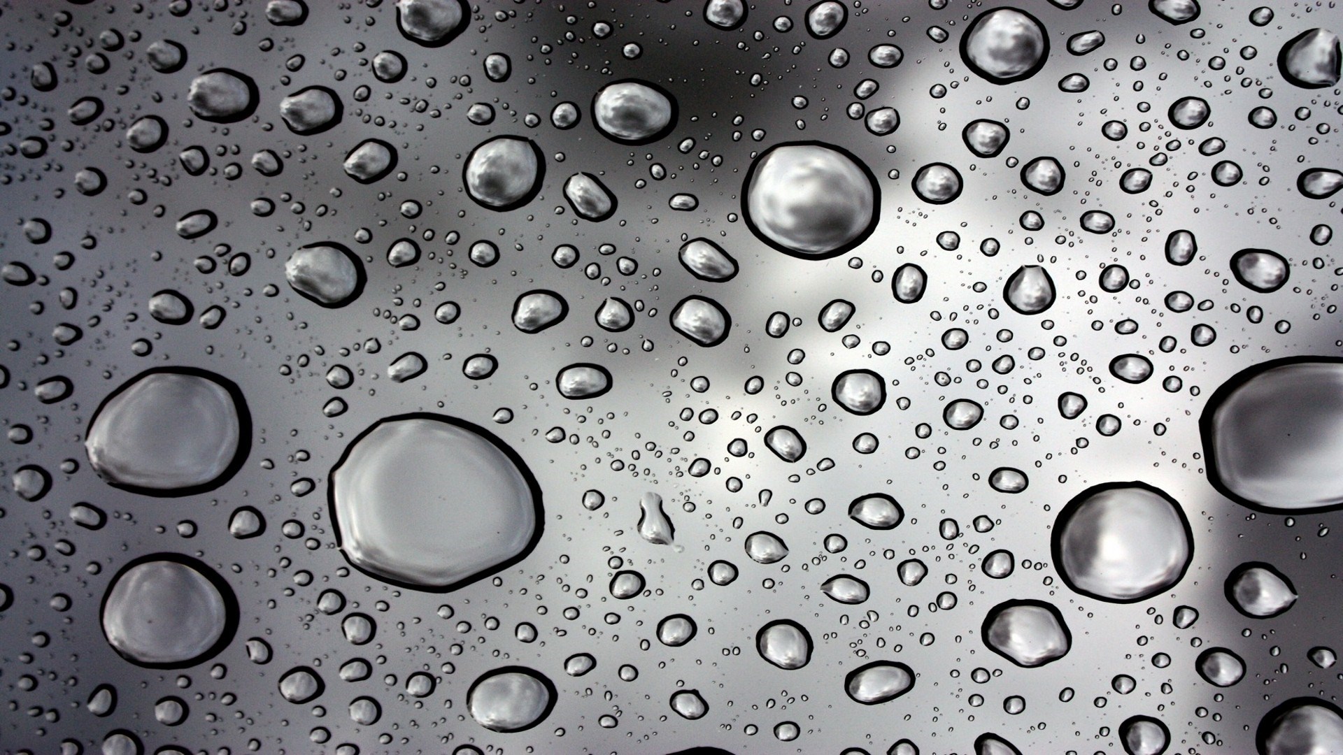 Rain Water Droplets Wallpaper [1920x1080]