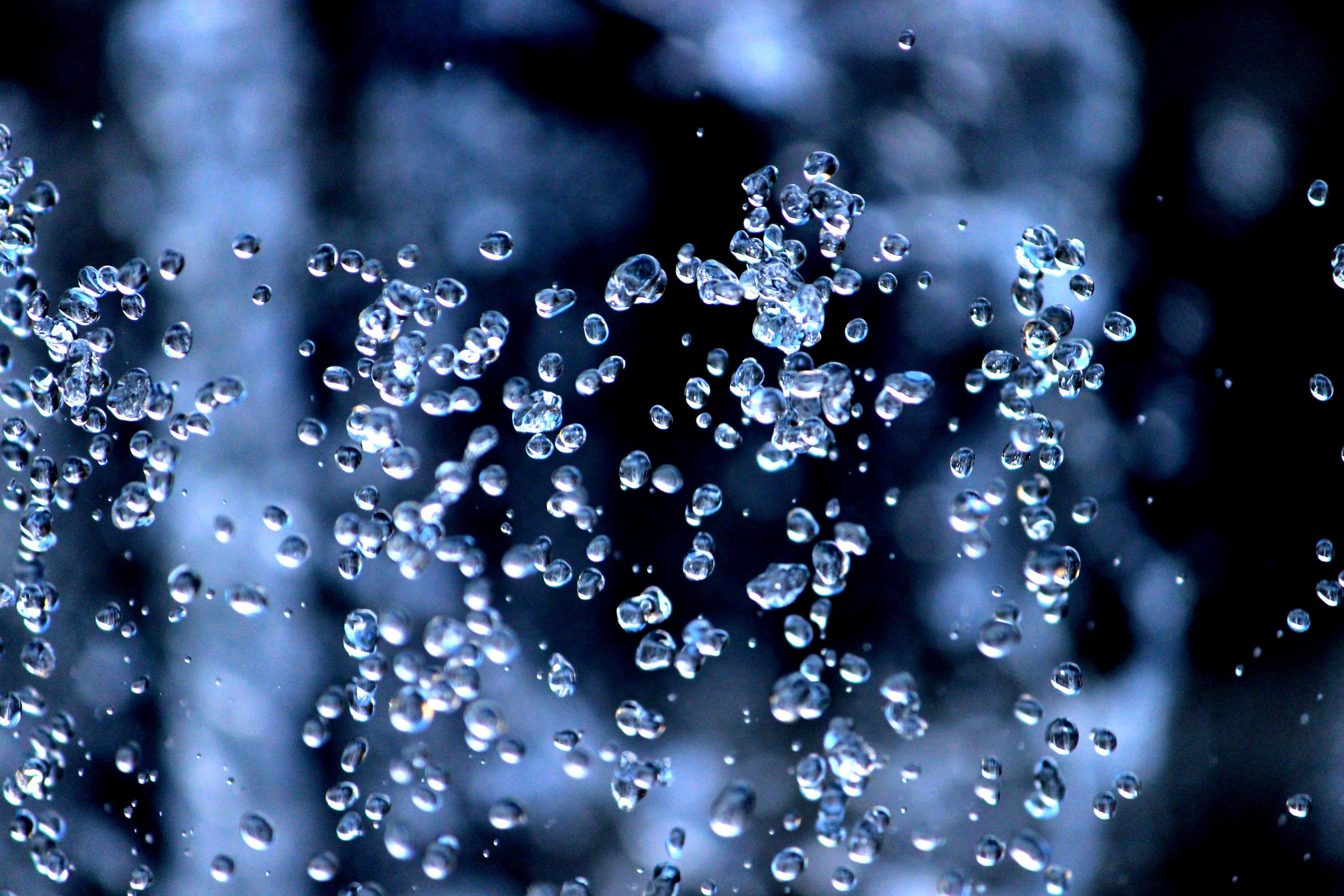 Free picture: dew, water drops, blue, fresh water, drink, thirst ...