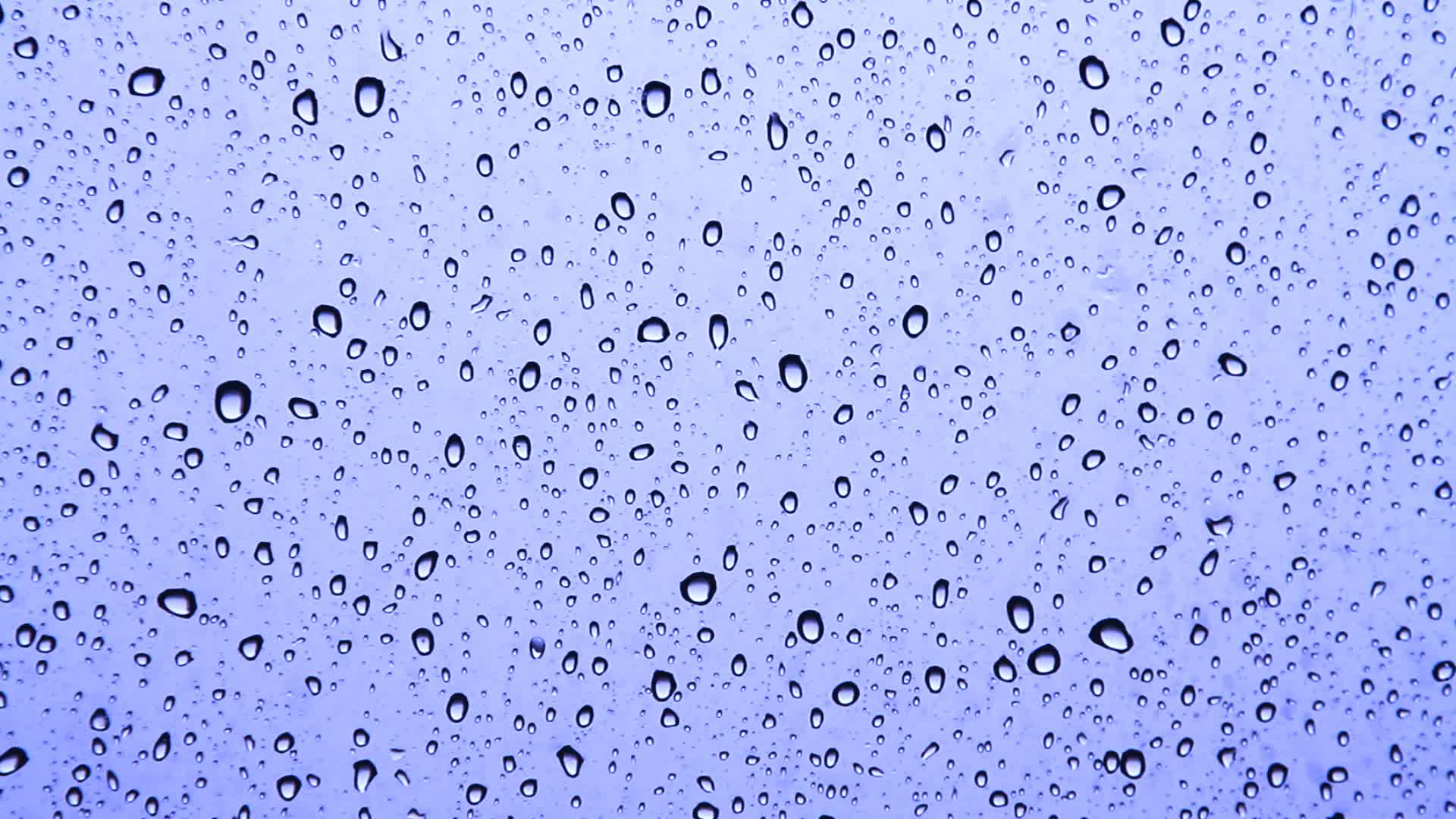 Beautiful water drops on window glass ~ Video Clip #11483832
