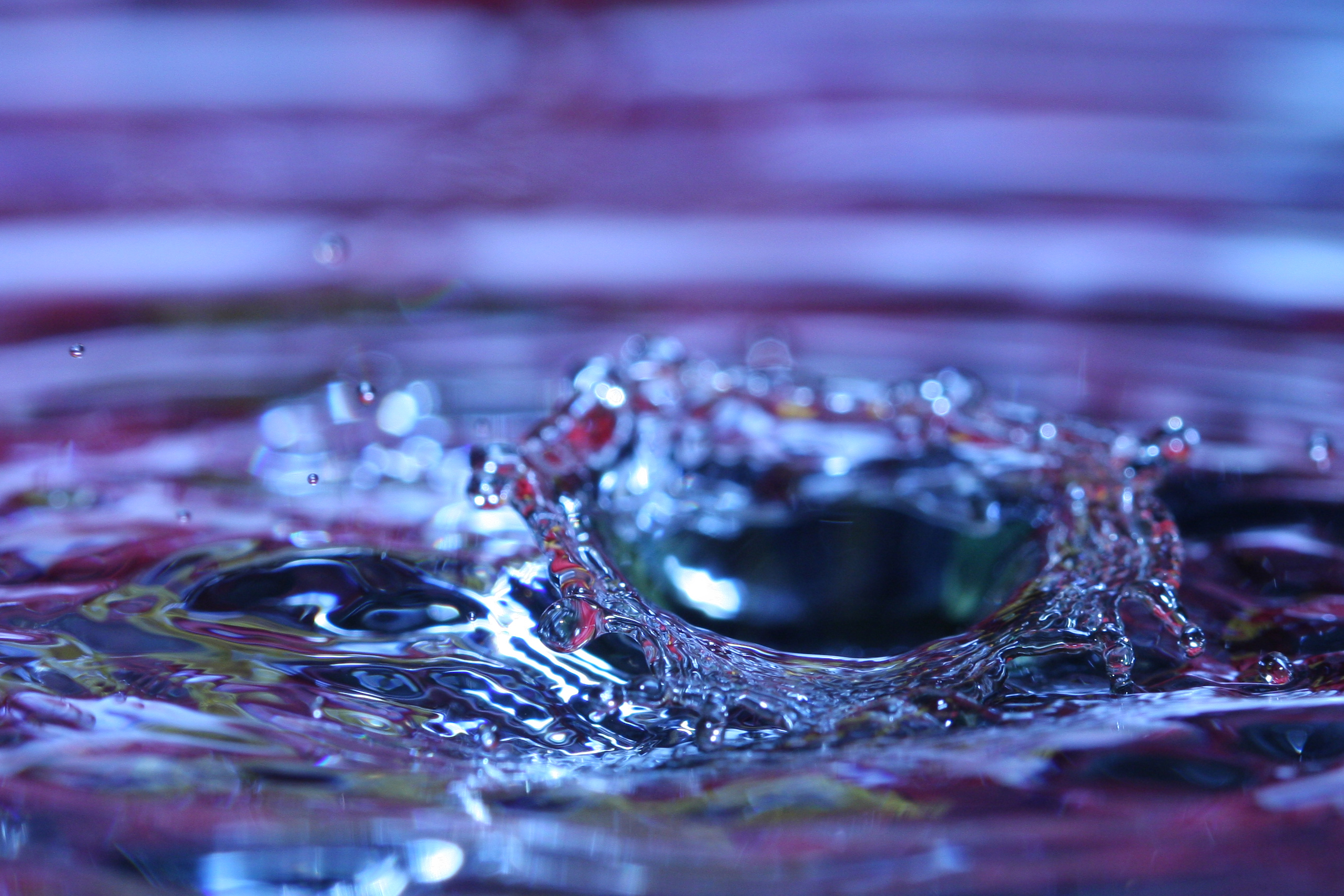 Eight Easy Steps to Photographing Water Droplets