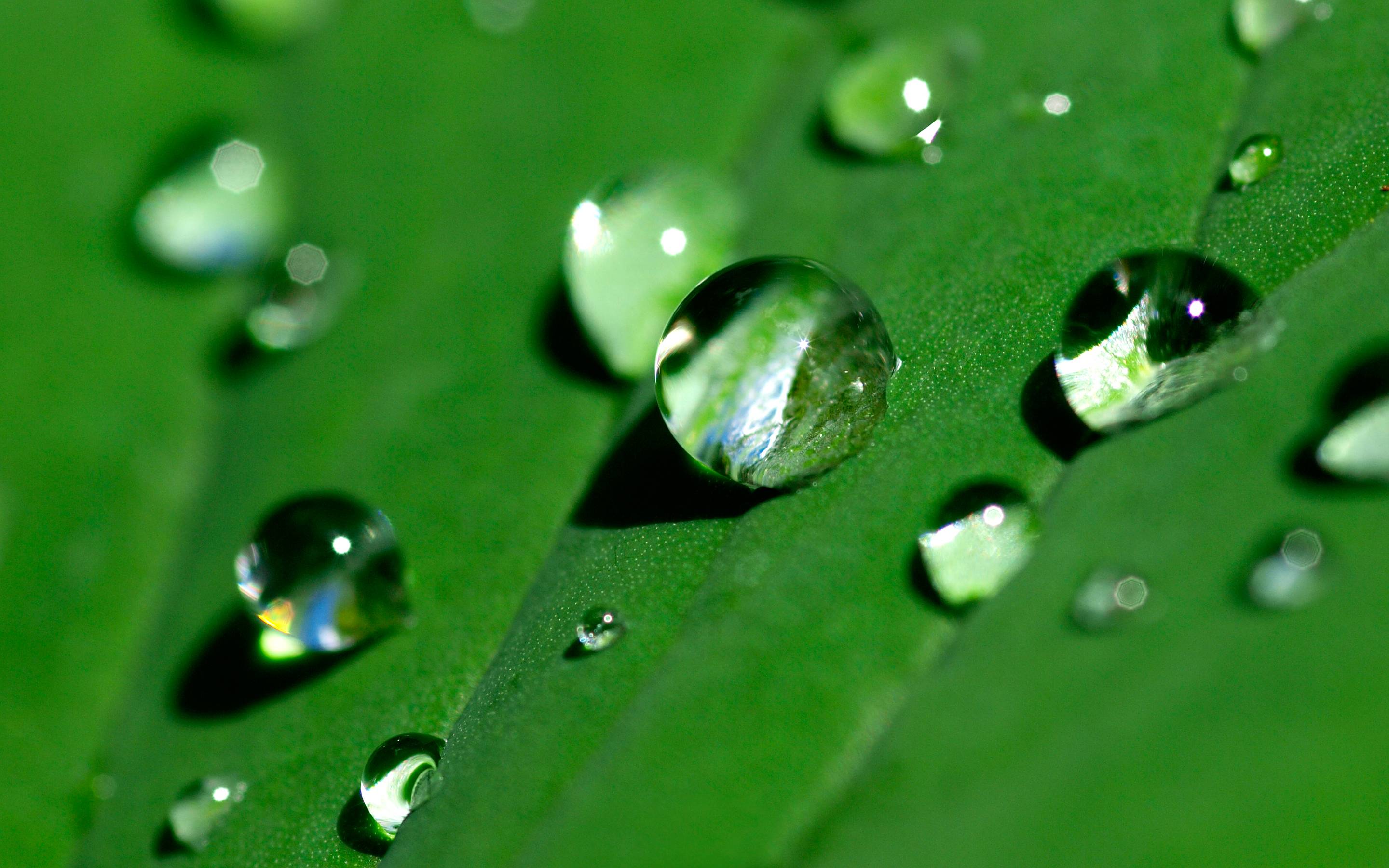 Water Droplets Wallpapers - Wallpaper Cave