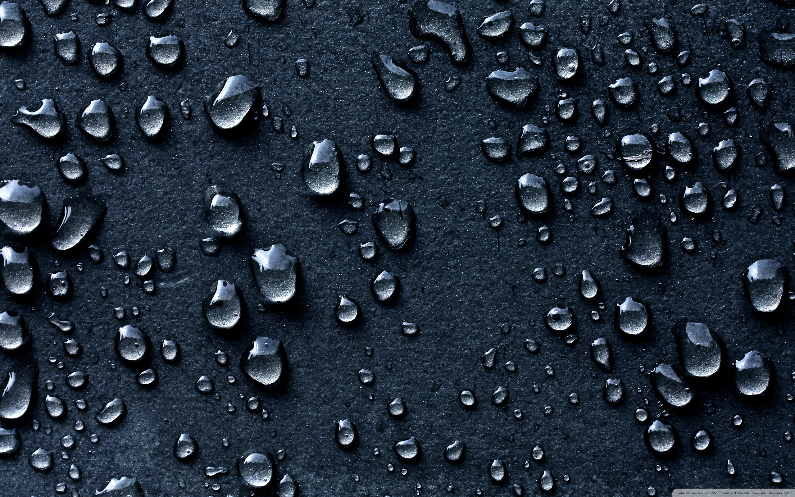 Waterdrops on black photo