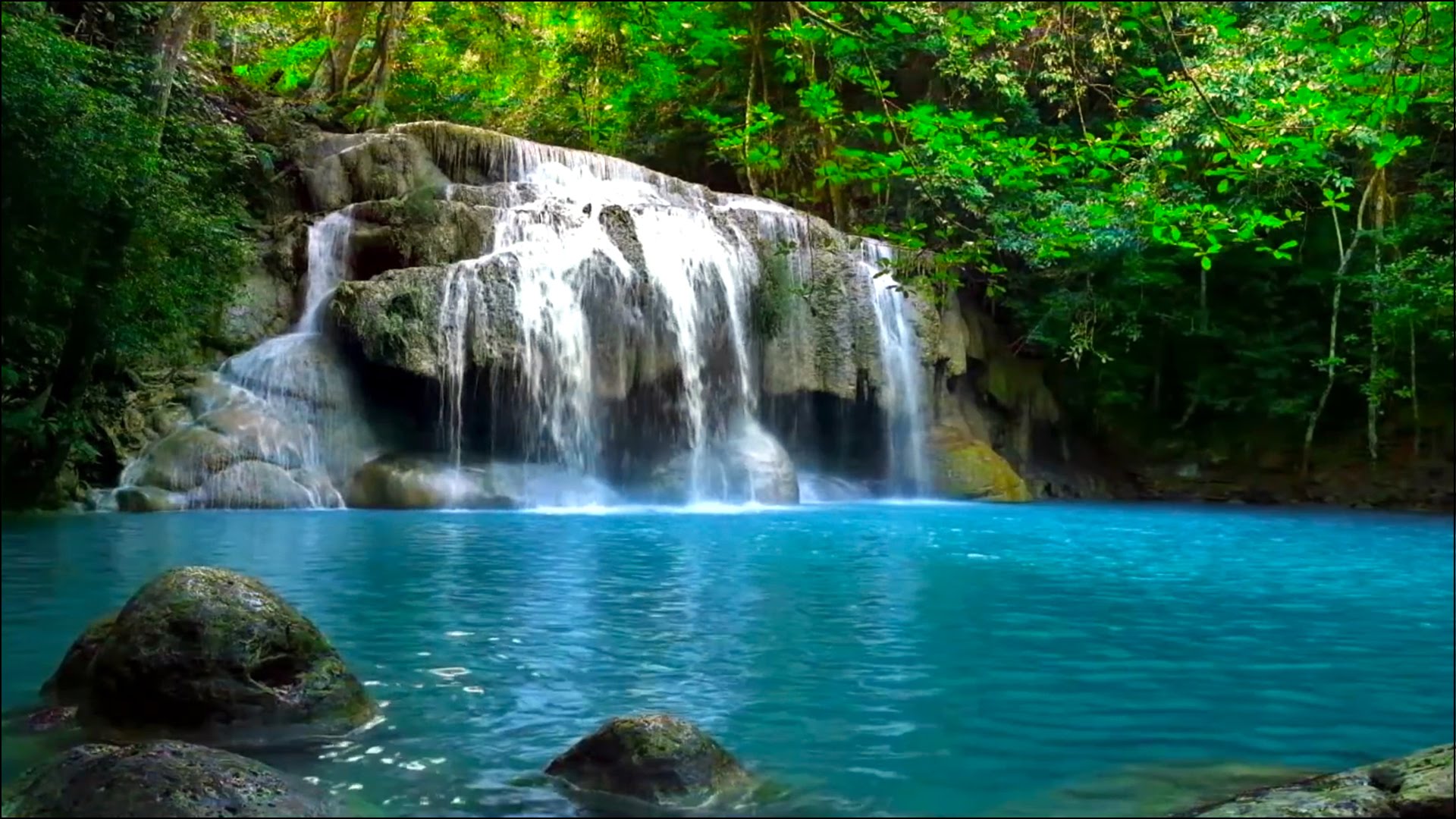 Waterfall & Jungle Sounds - Relaxing Tropical Rainforest Nature ...