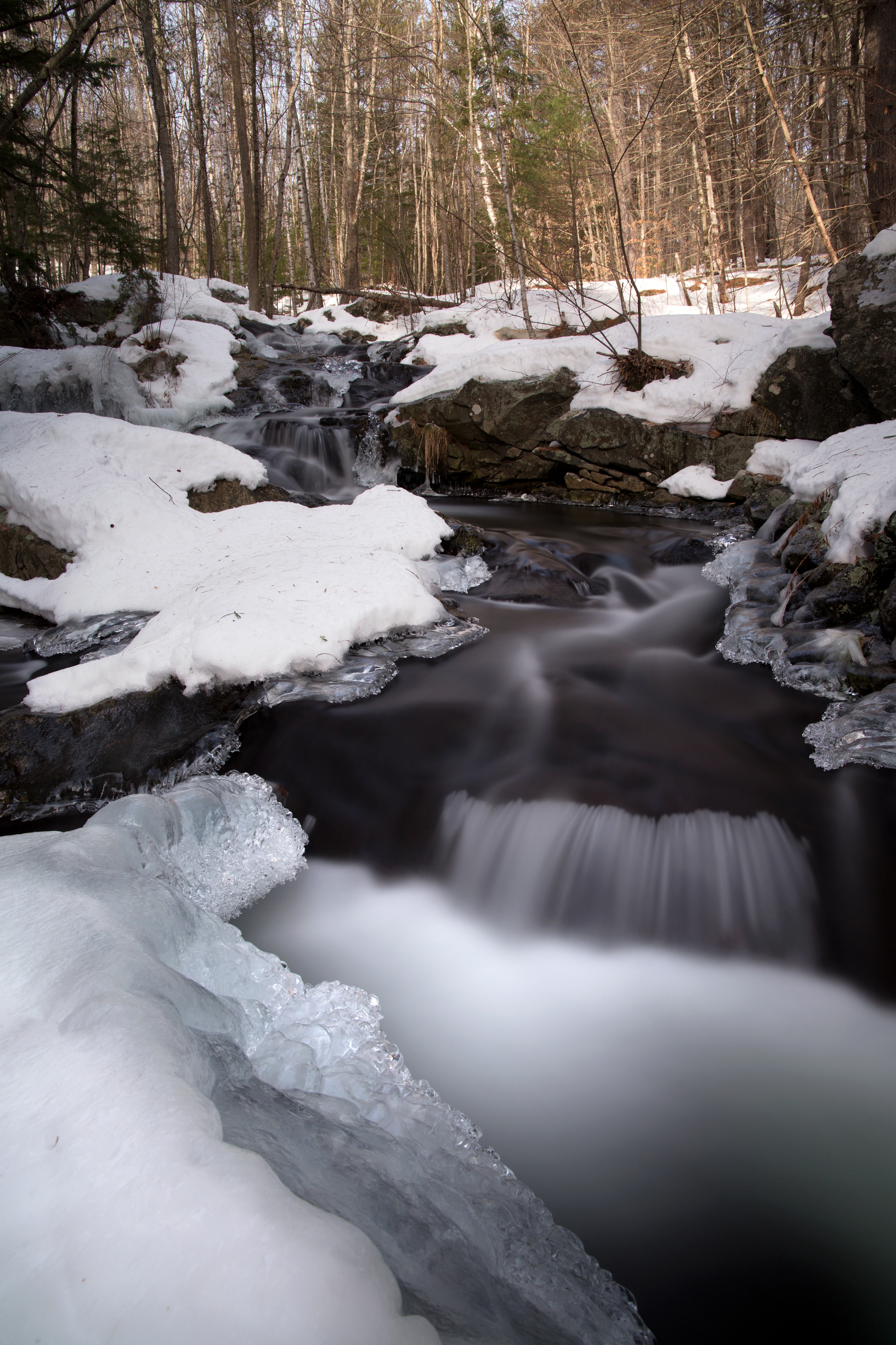 Water flowing through snow covered forest photo
