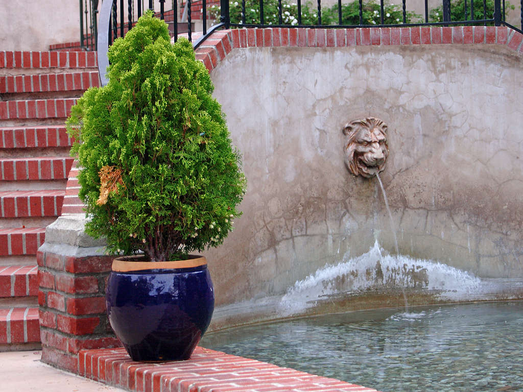 Water fountain, Building, Fountain, House, Plant, HQ Photo