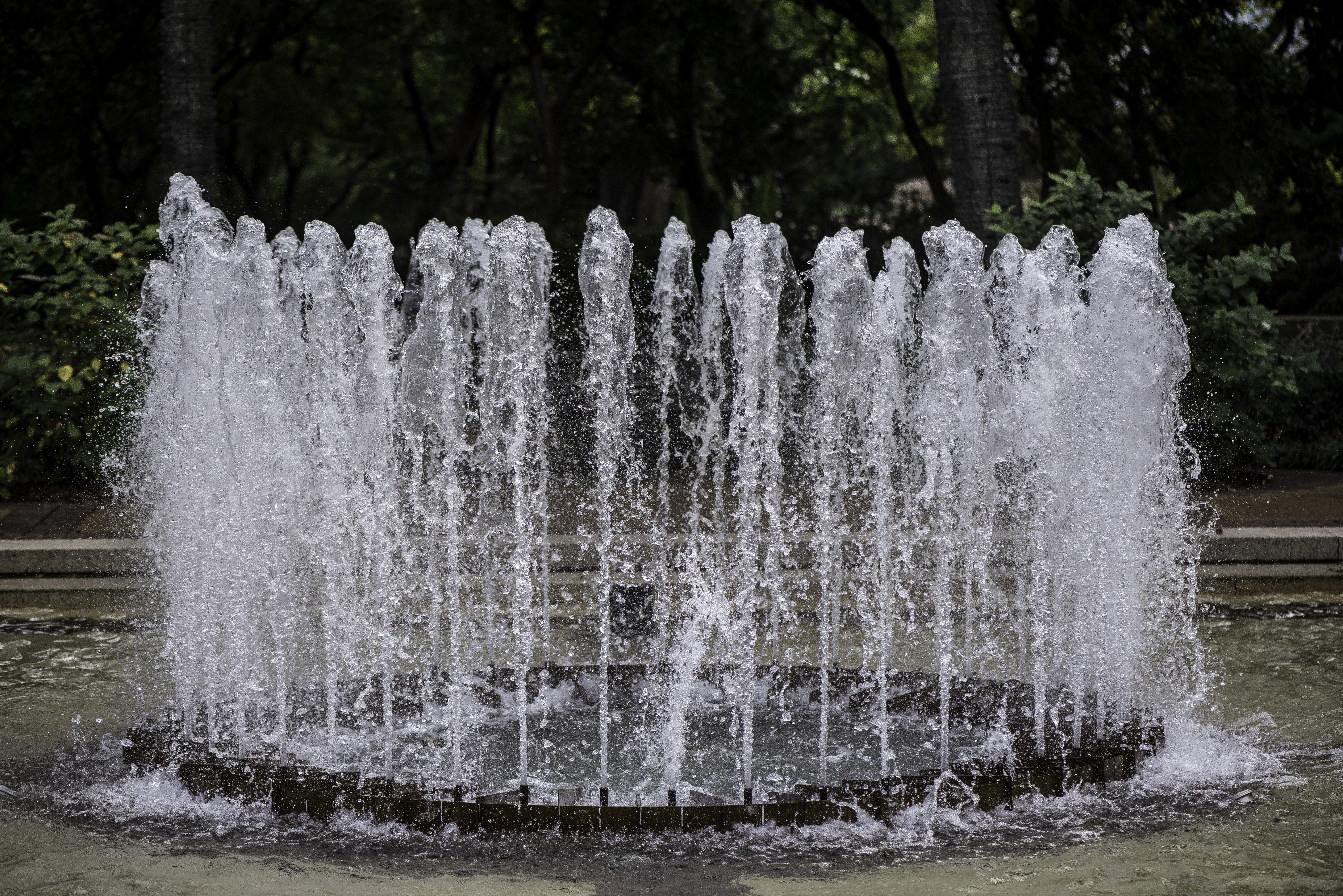 Water Fountain at Botanical Gardens image - Free stock photo ...