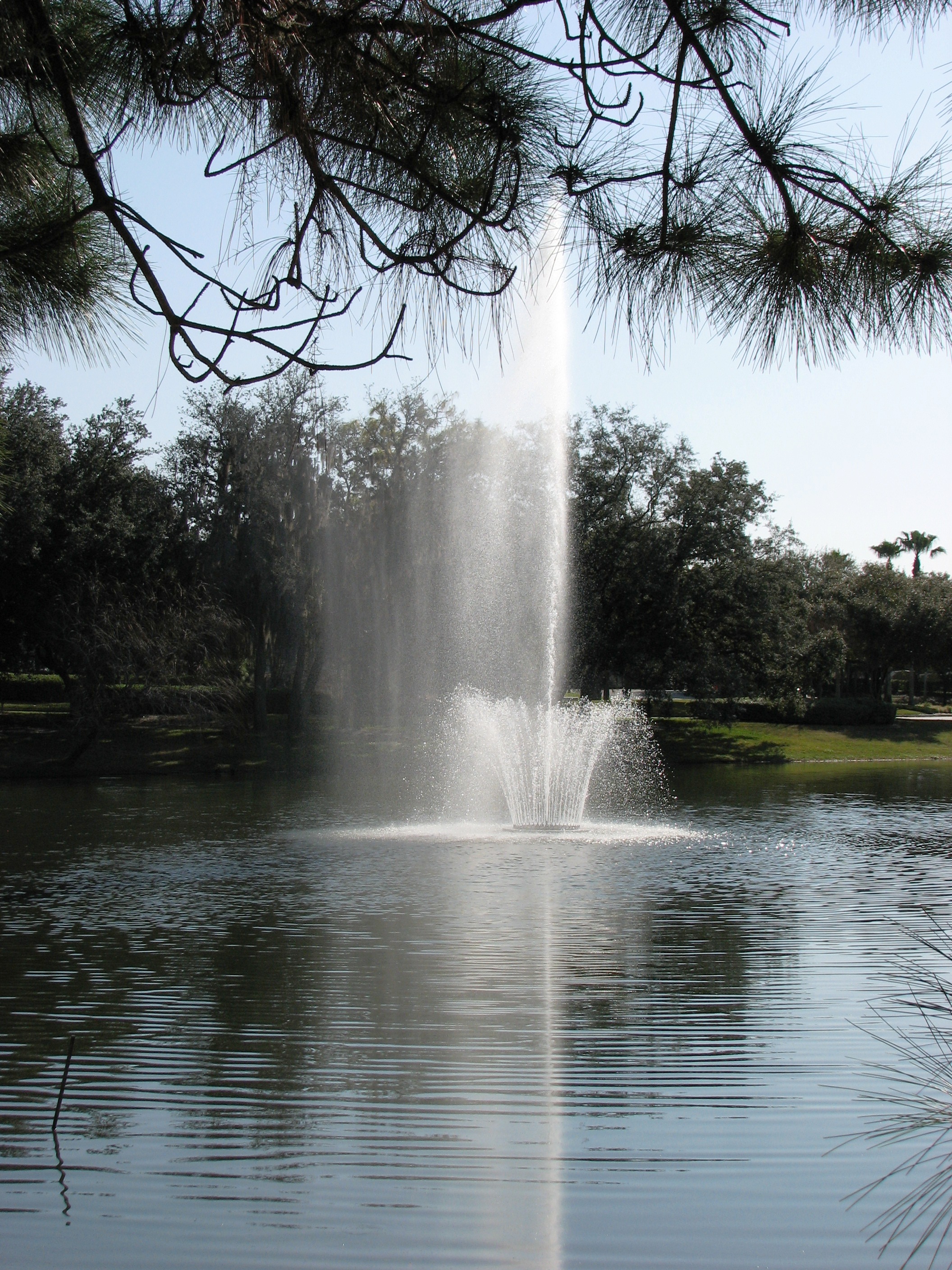 Water Fountain, Fountain, Lake, Nature, Outdoors, HQ Photo