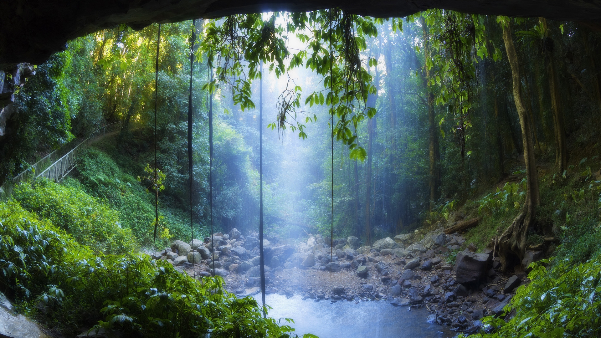 Landscapes rain forest drog fog mist trees woods water pool sunlight ...