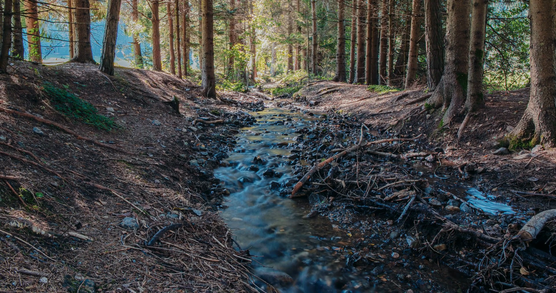 smooth water stream in woods and wandering tree shadows, time lapse ...