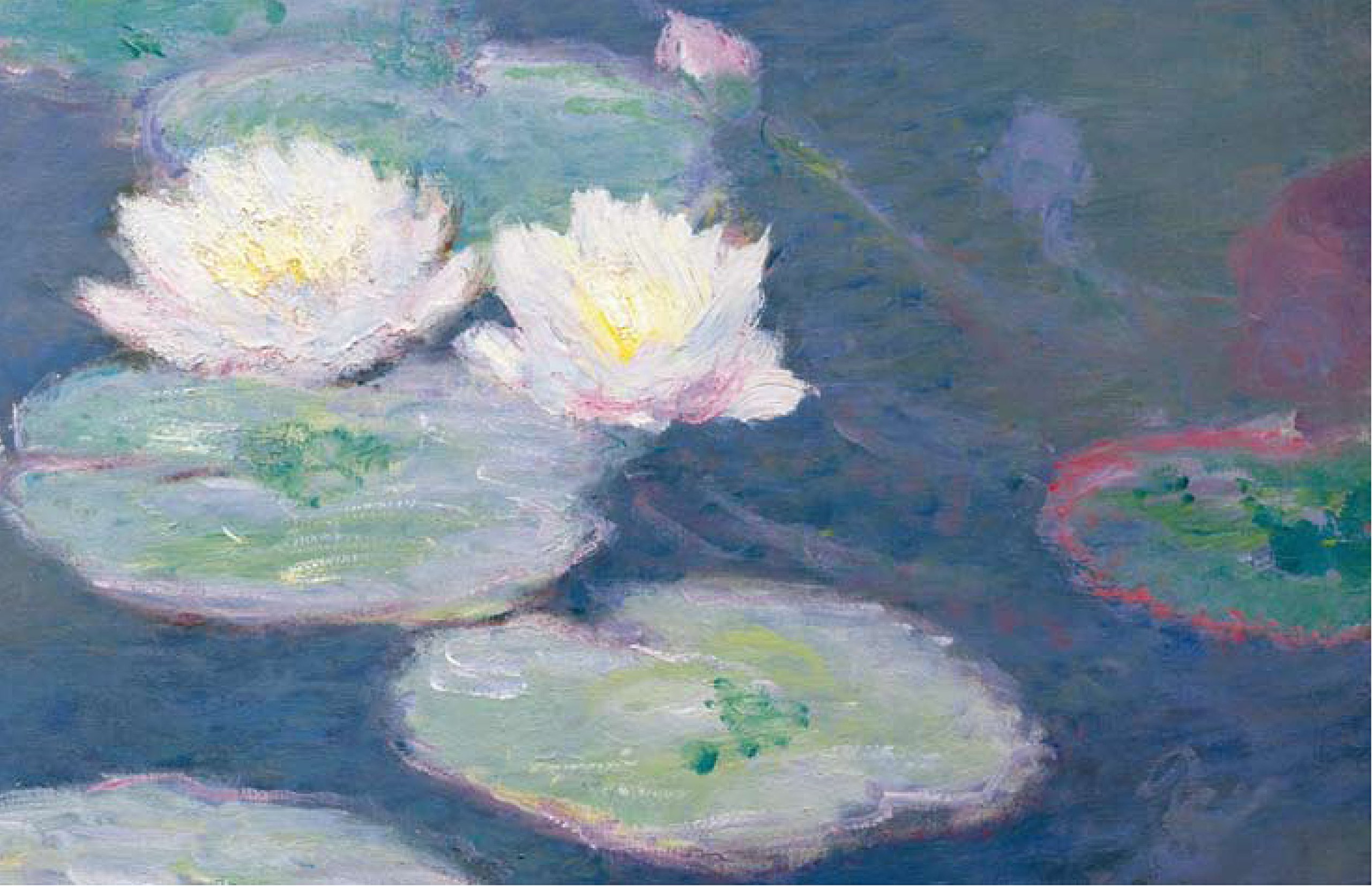 Monet Water Lilies: The Complete Series: Jean-Dominique REY, Denis ...