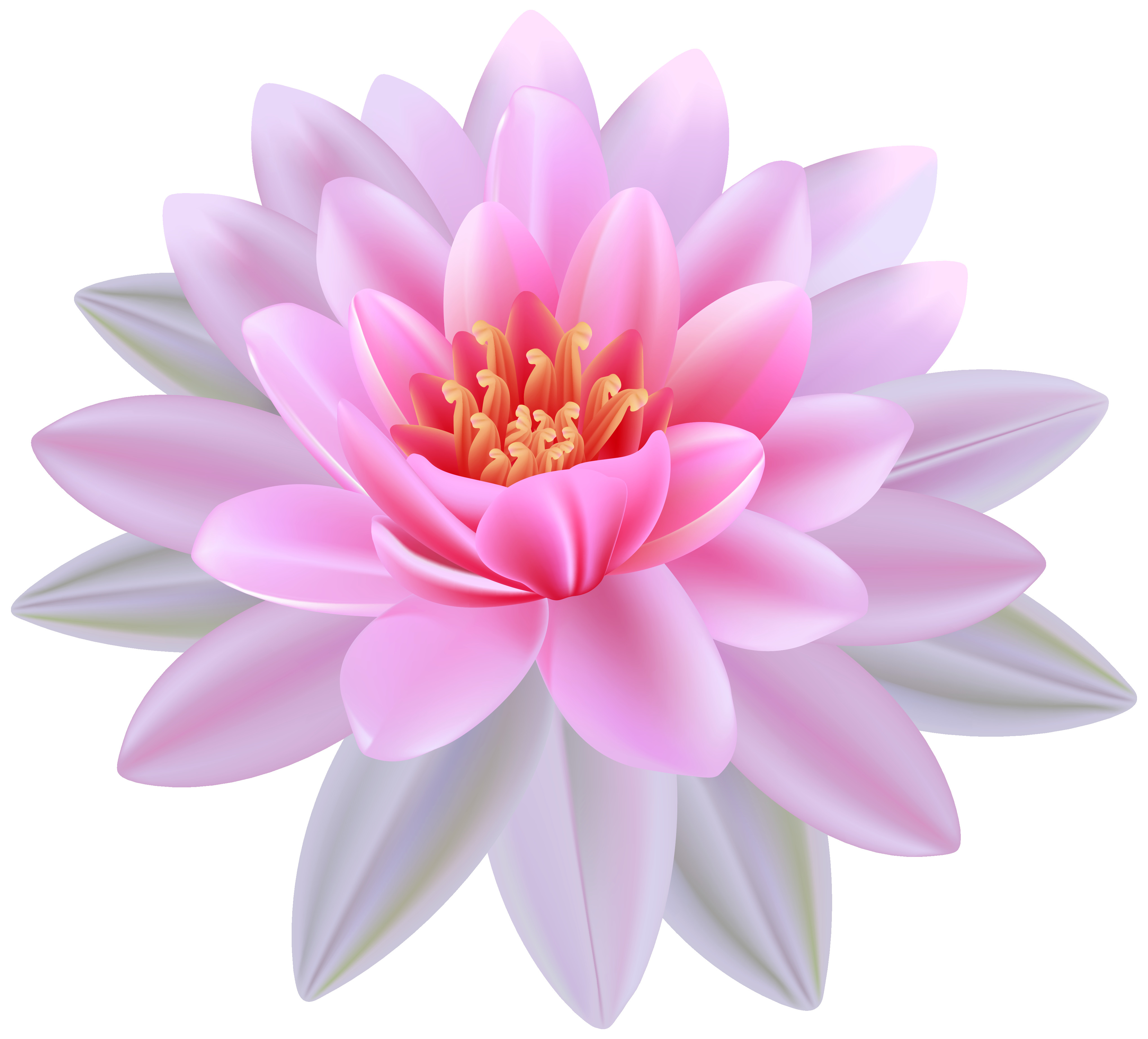 Pink Water Lily PNG Clipart Image Gallery Yopriceville High In ...