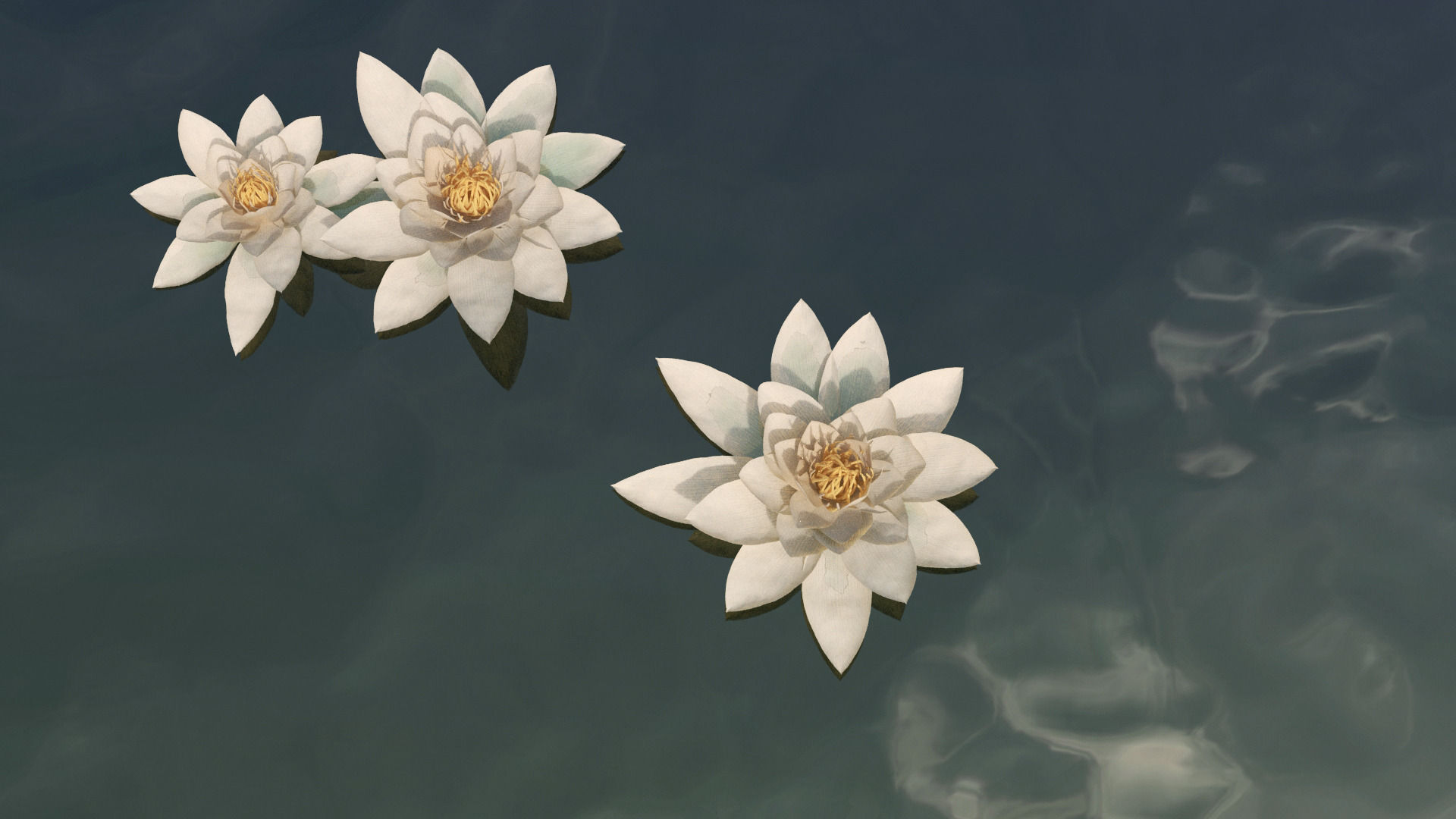 Waterlily in bloom 3D model | CGTrader
