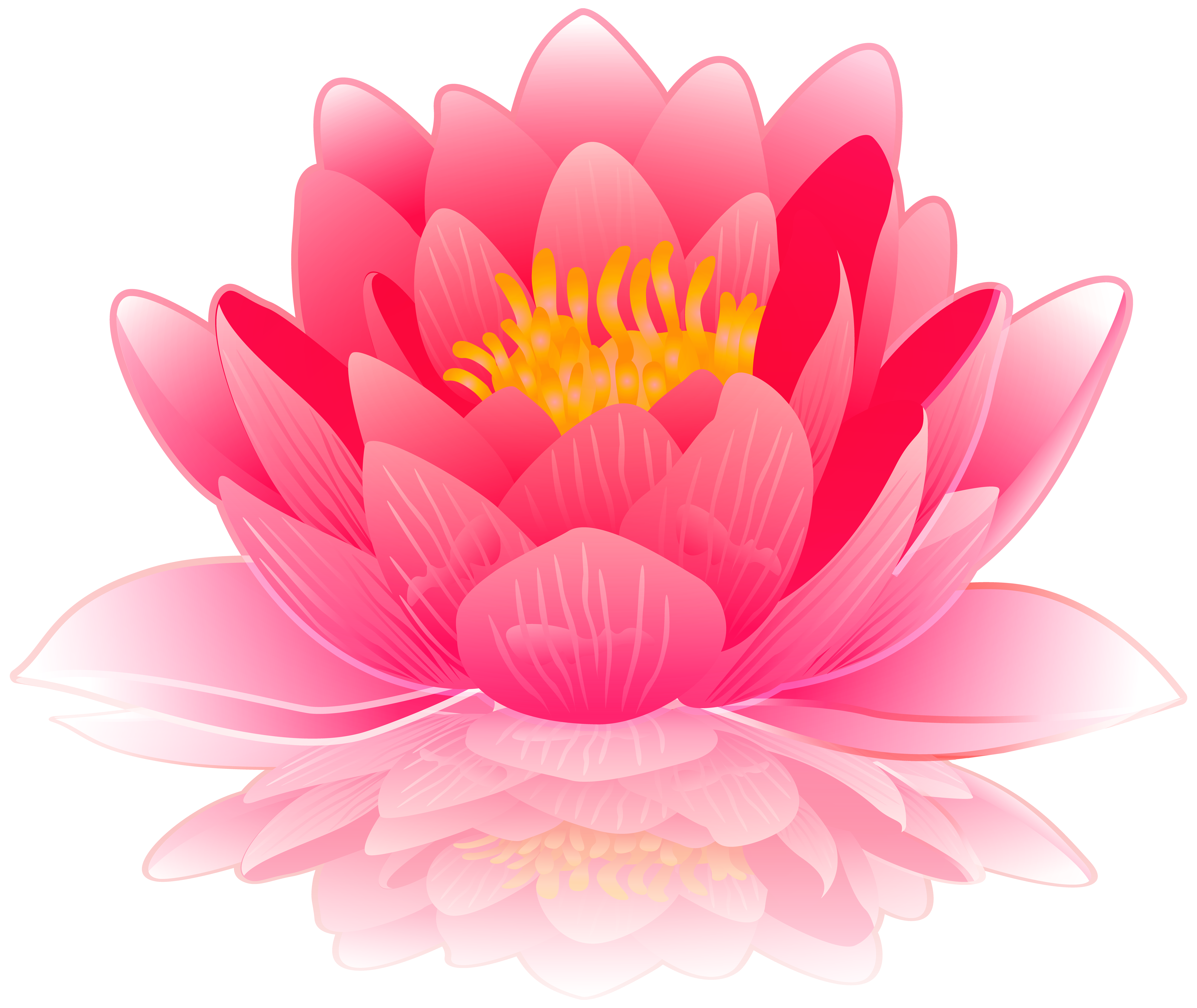 Pink Water Lily PNG Clip Art Image | Gallery Yopriceville - High ...