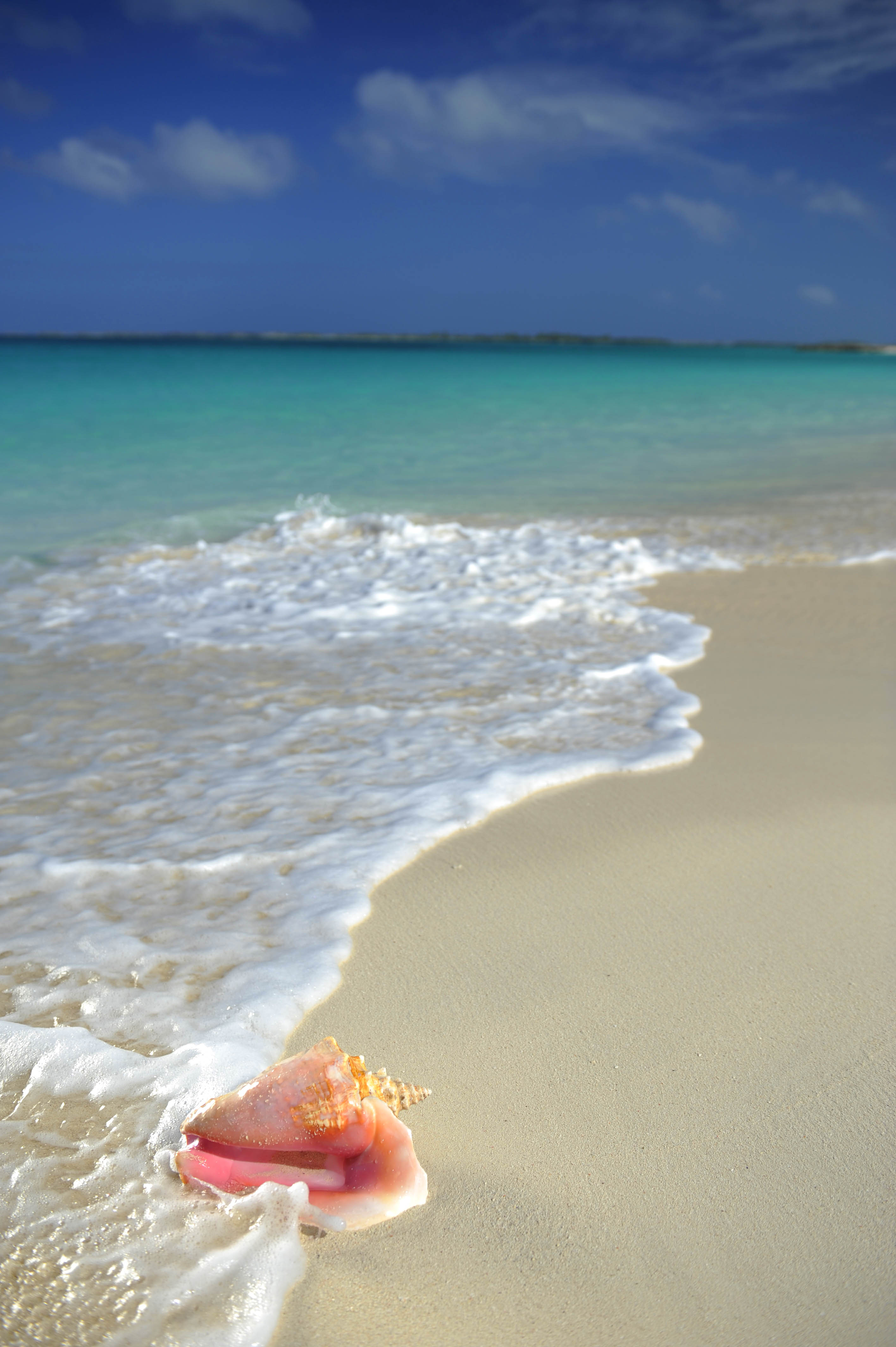 Beaches are Better in The Bahamas | Met, Crystals and Water