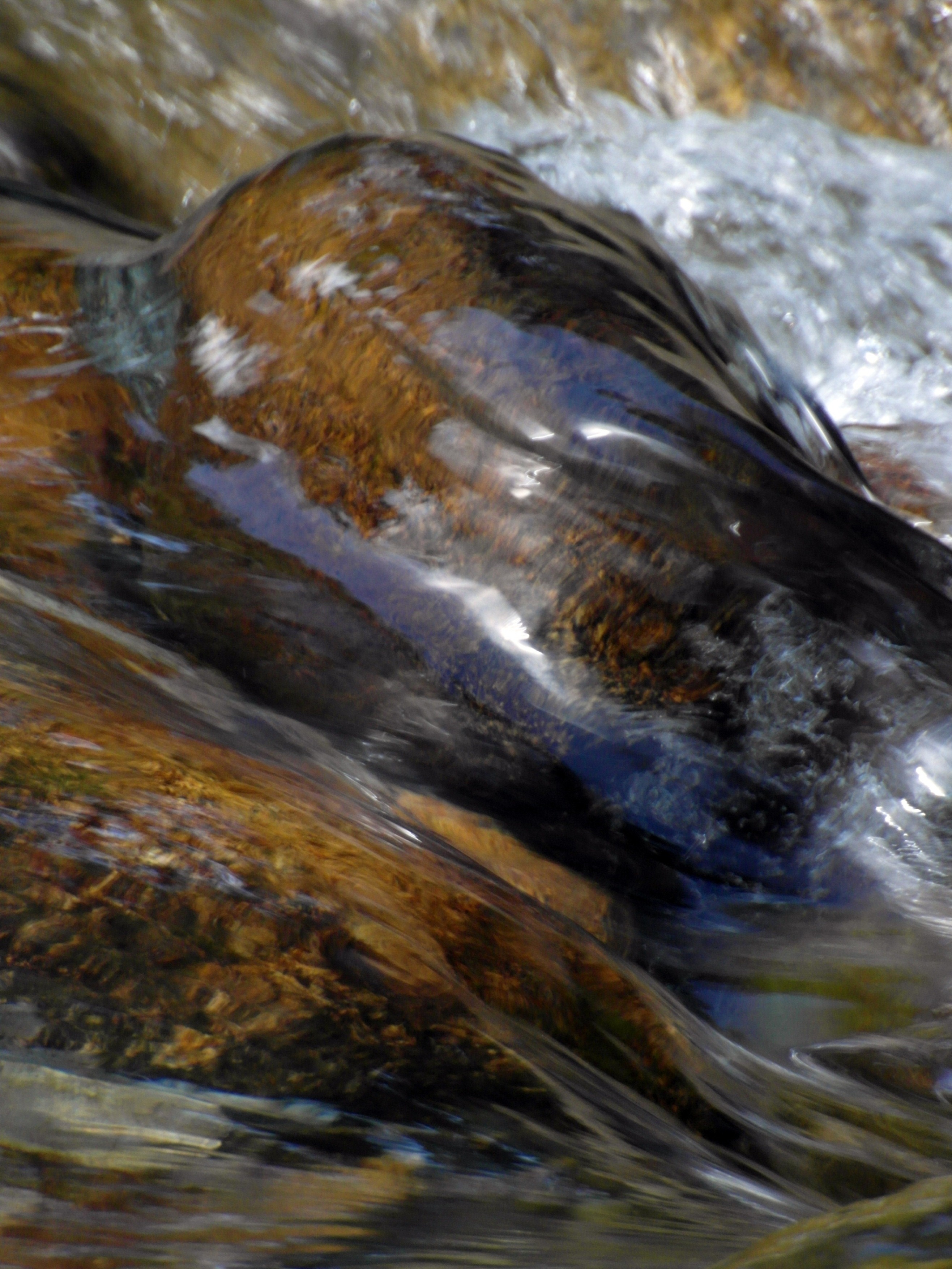 Water over smooth boulders in river photo