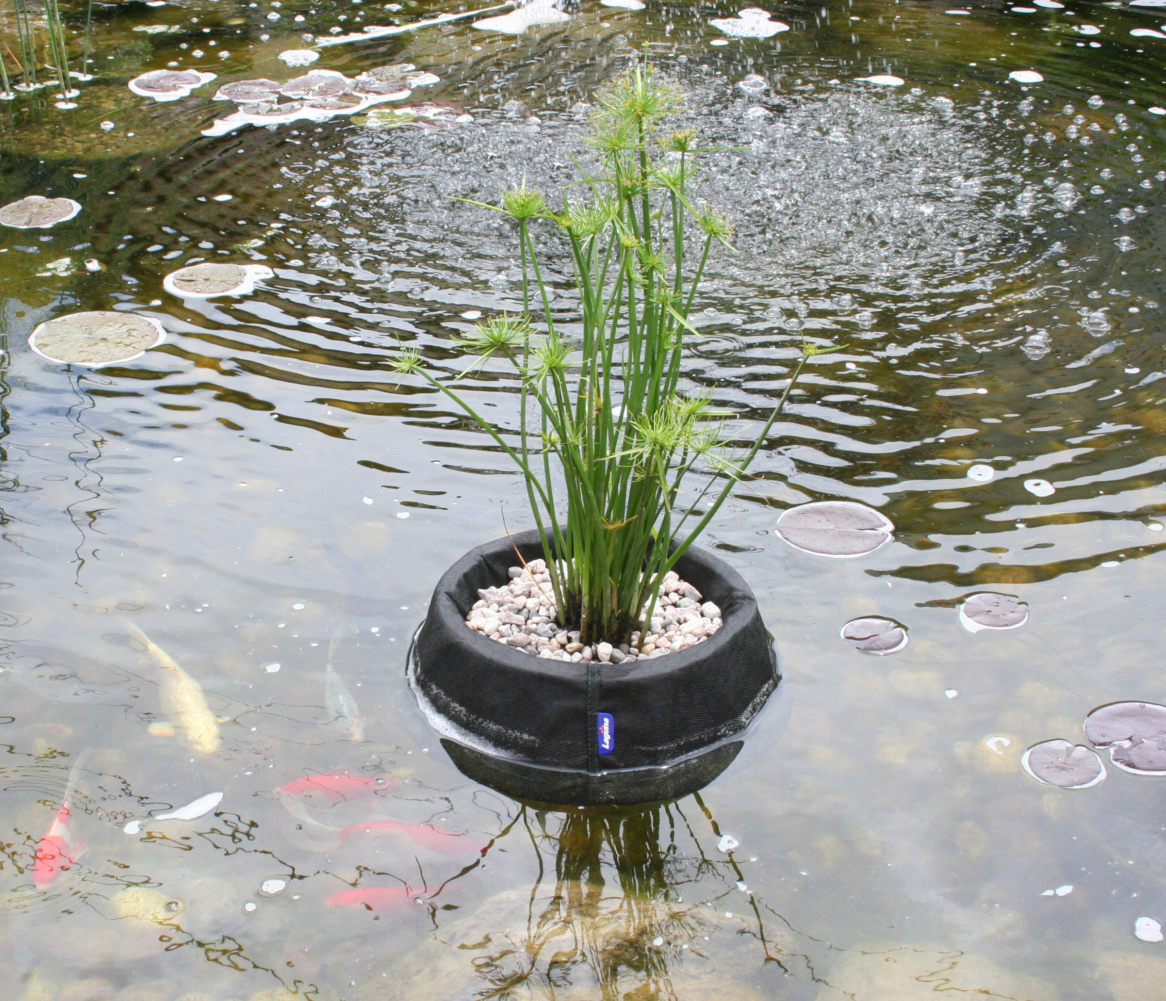 Laguna Floating Plant Basket - Medium - 35 cm (10