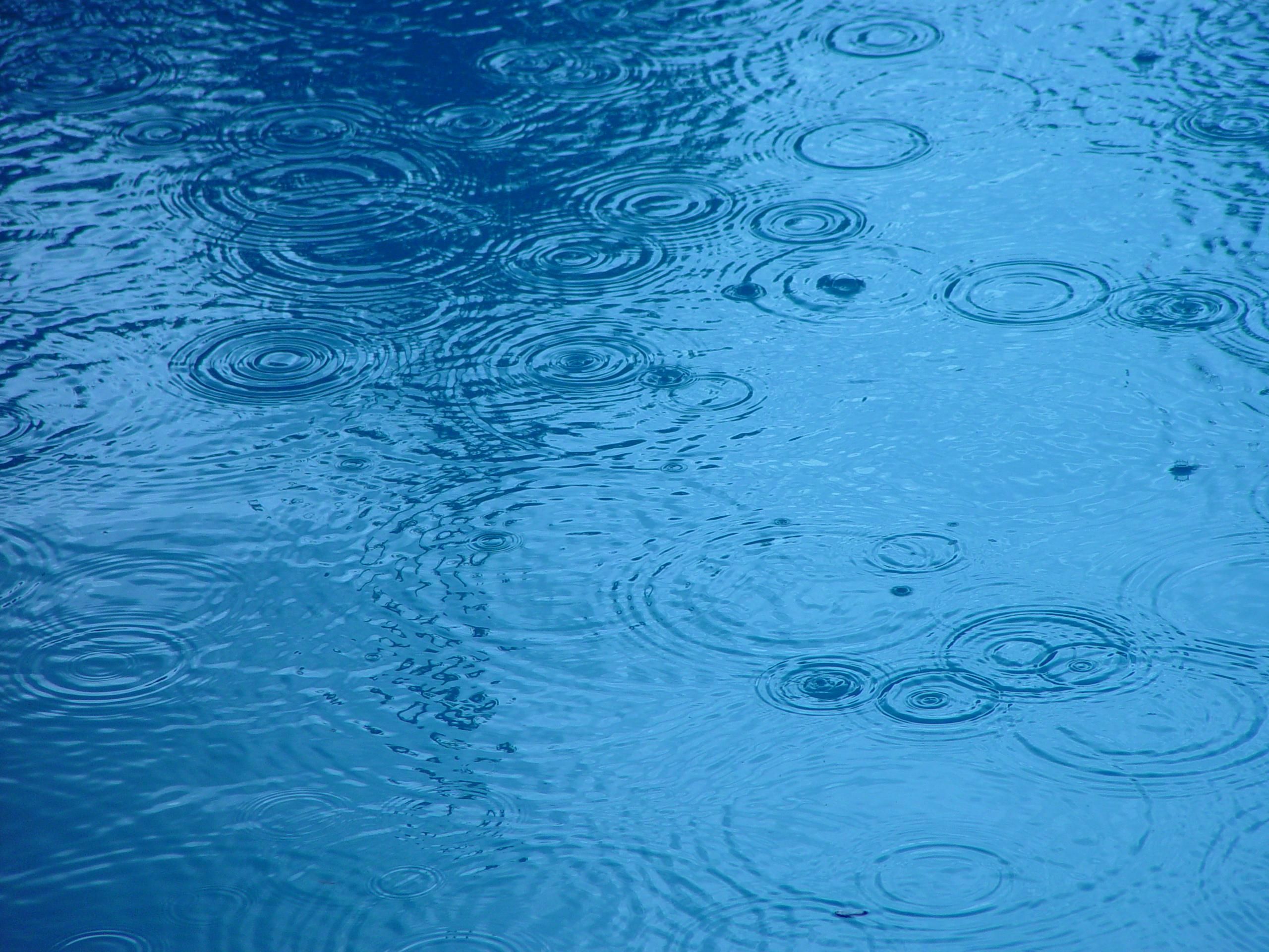 Free picture: raindrops, water