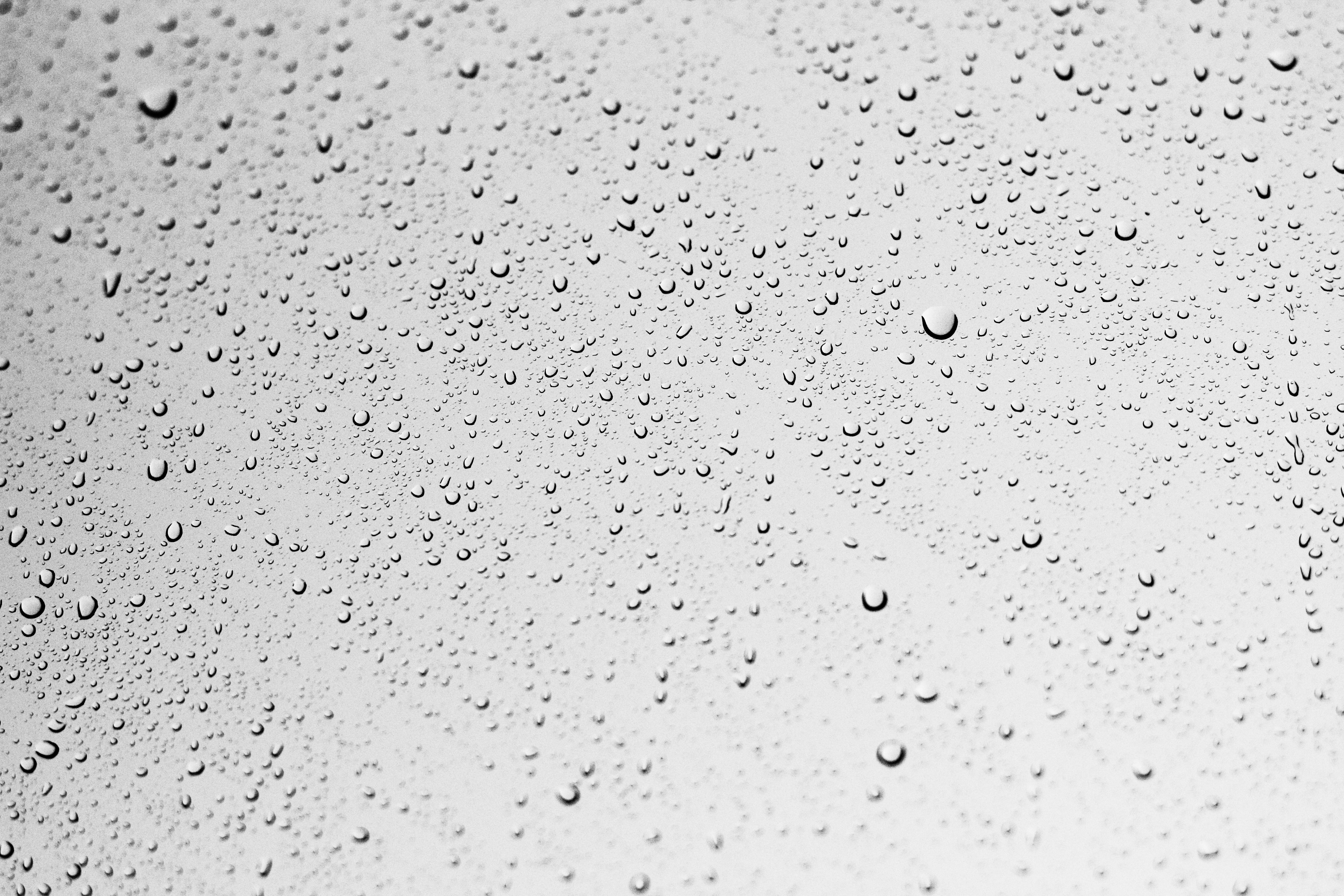 Water rain drops photo