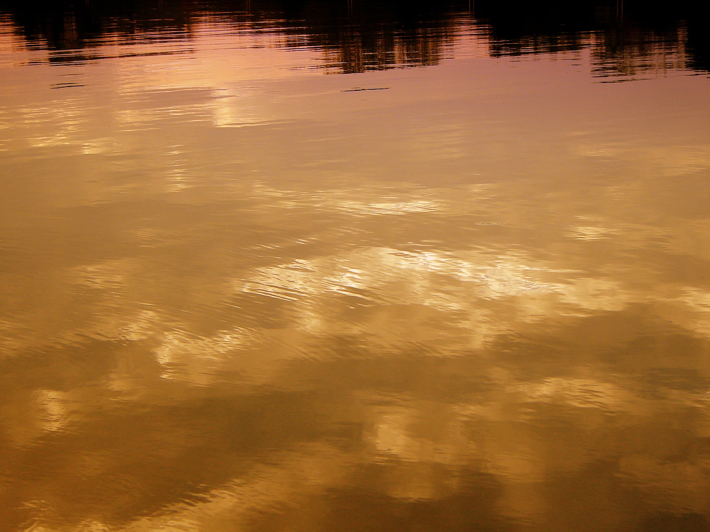 Water reflections photo