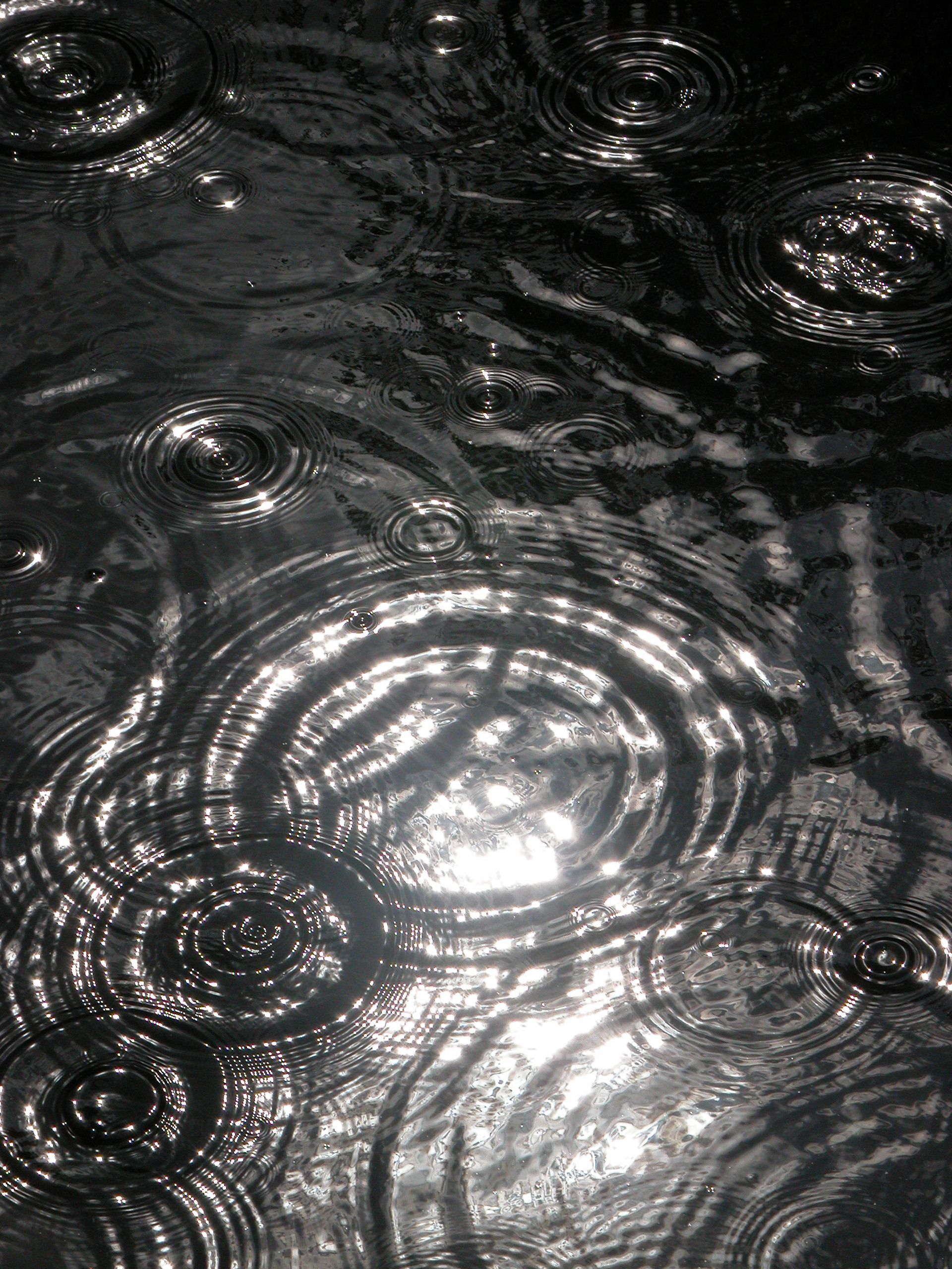 i love all the different water ripples, rings and circles created in ...