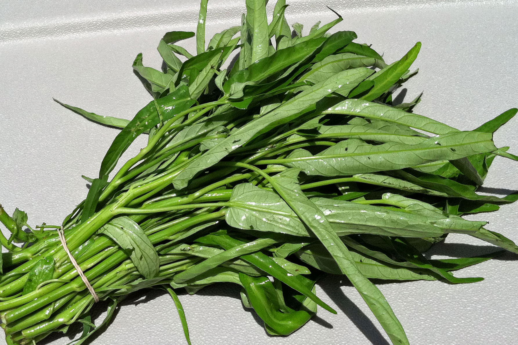 Free Photo Water Spinach Dish Food Fresh Free Download Jooinn