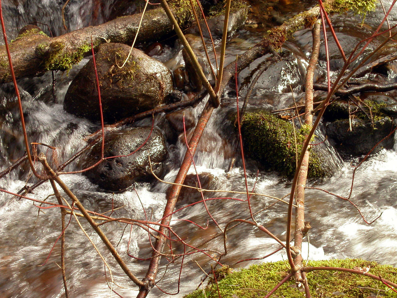 Water stream photo