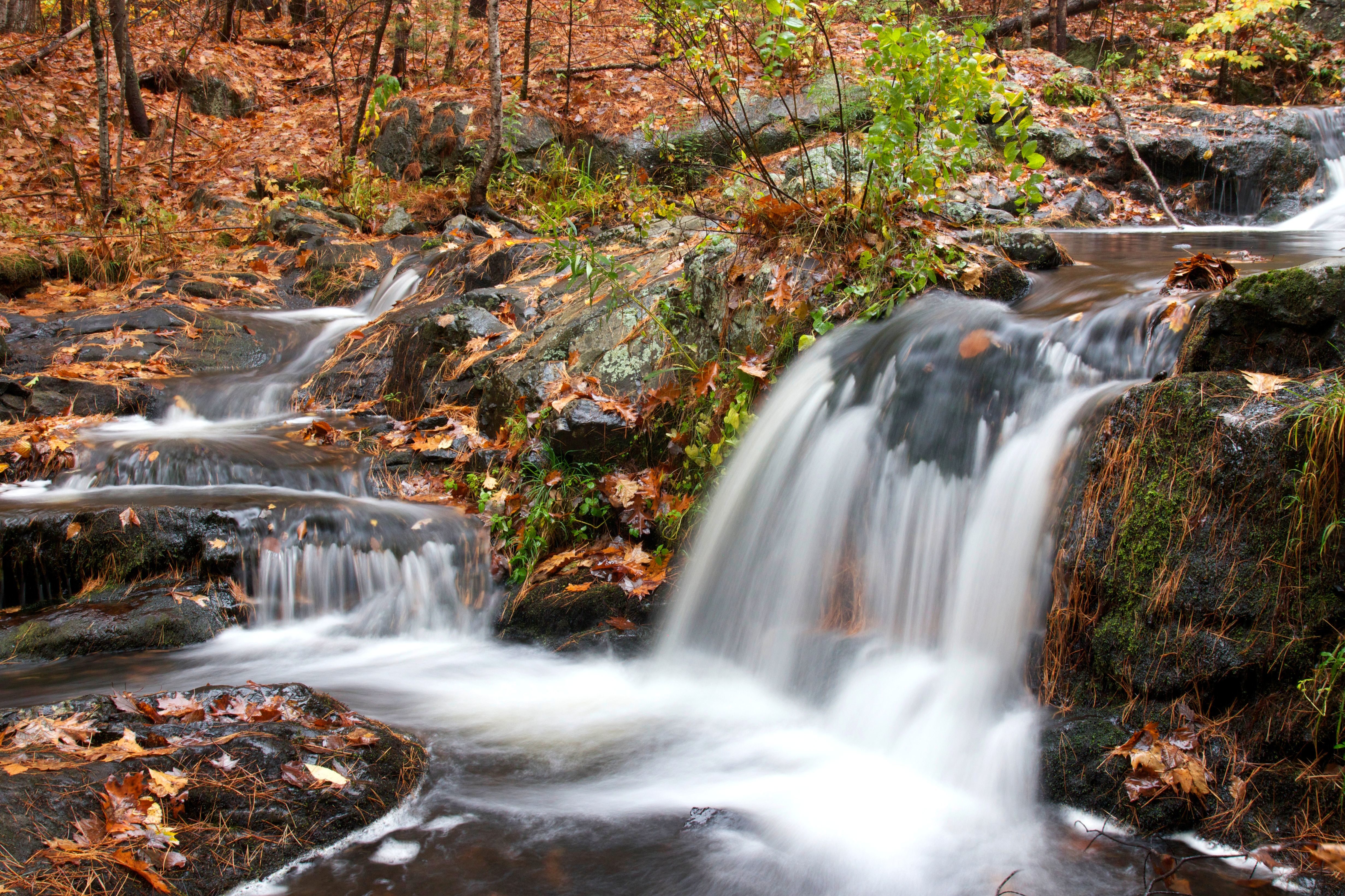 Free picture: small waterfall, autumn season, forest, water, stream ...